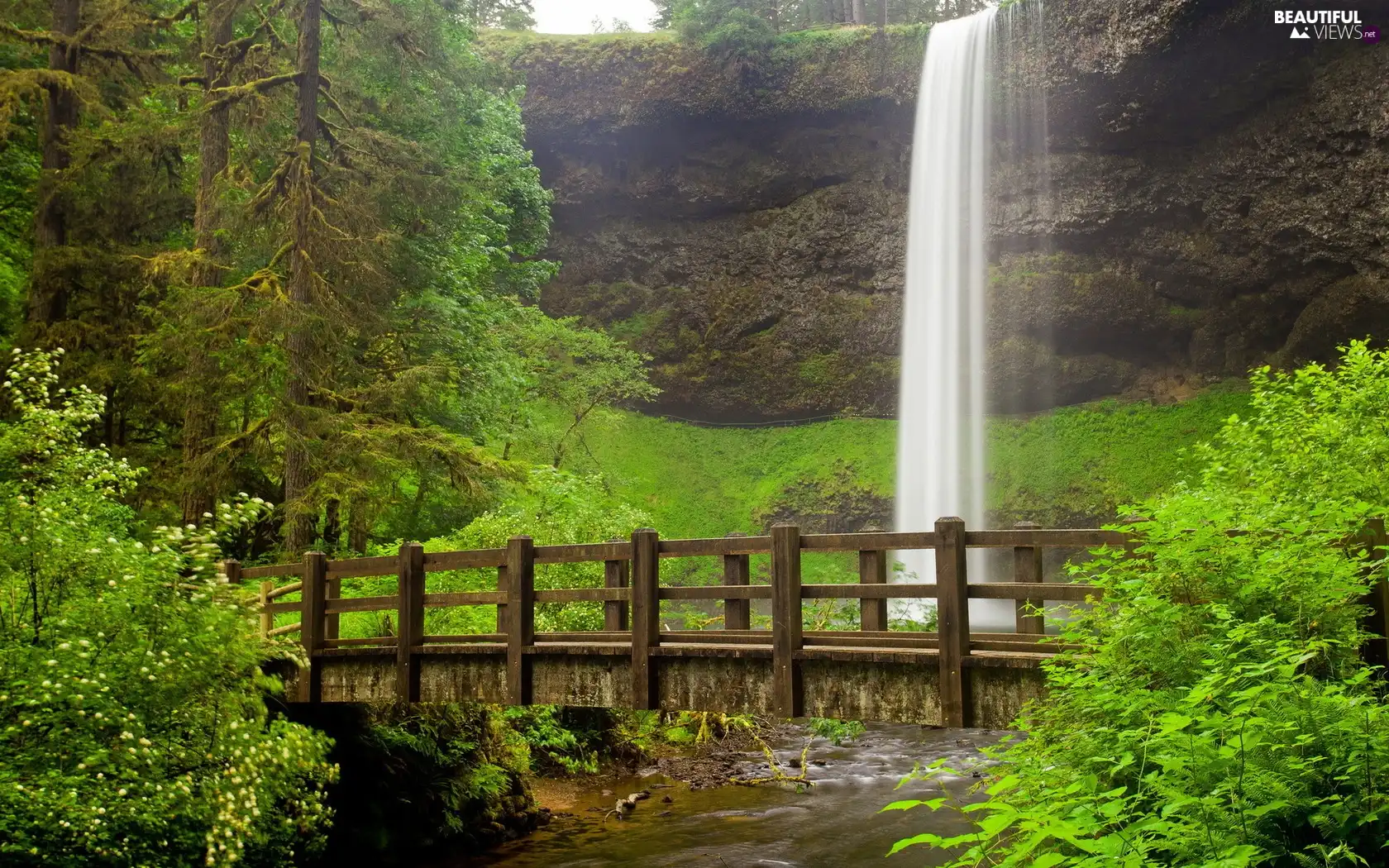 viewes, brook, bridges, trees, waterfall