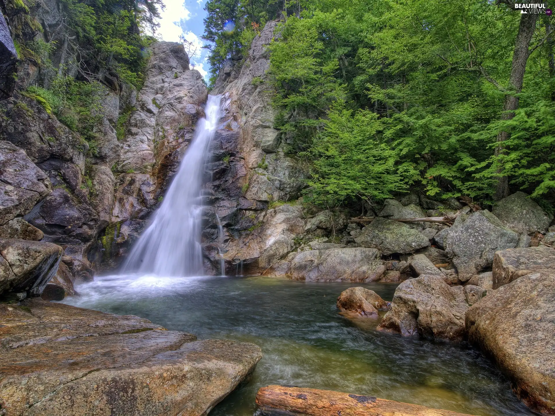 viewes, Bush, Stones, trees, waterfall
