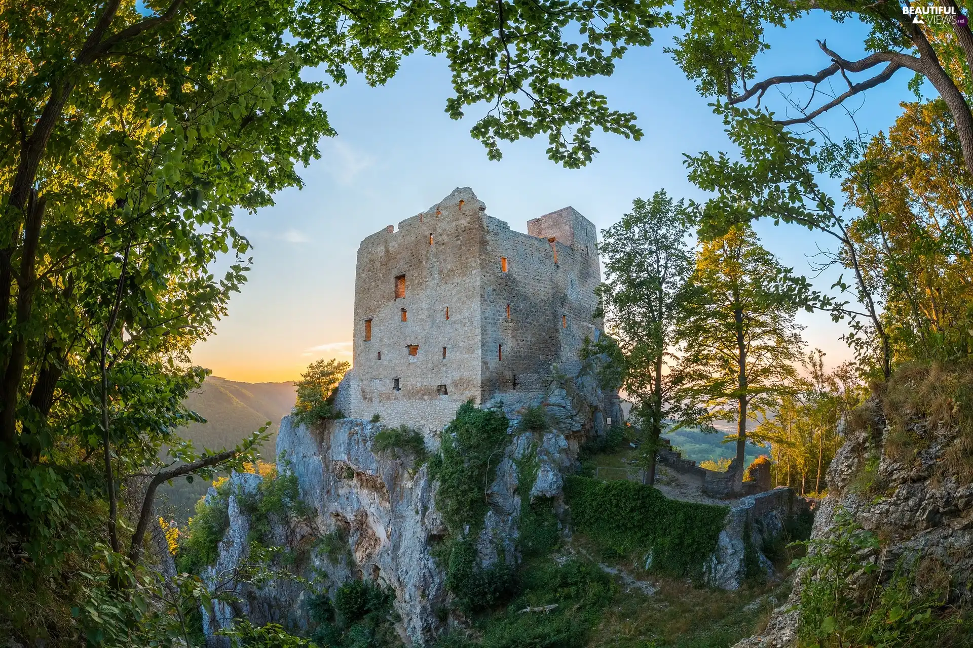 trees, viewes, Castle, ruins, Rocks