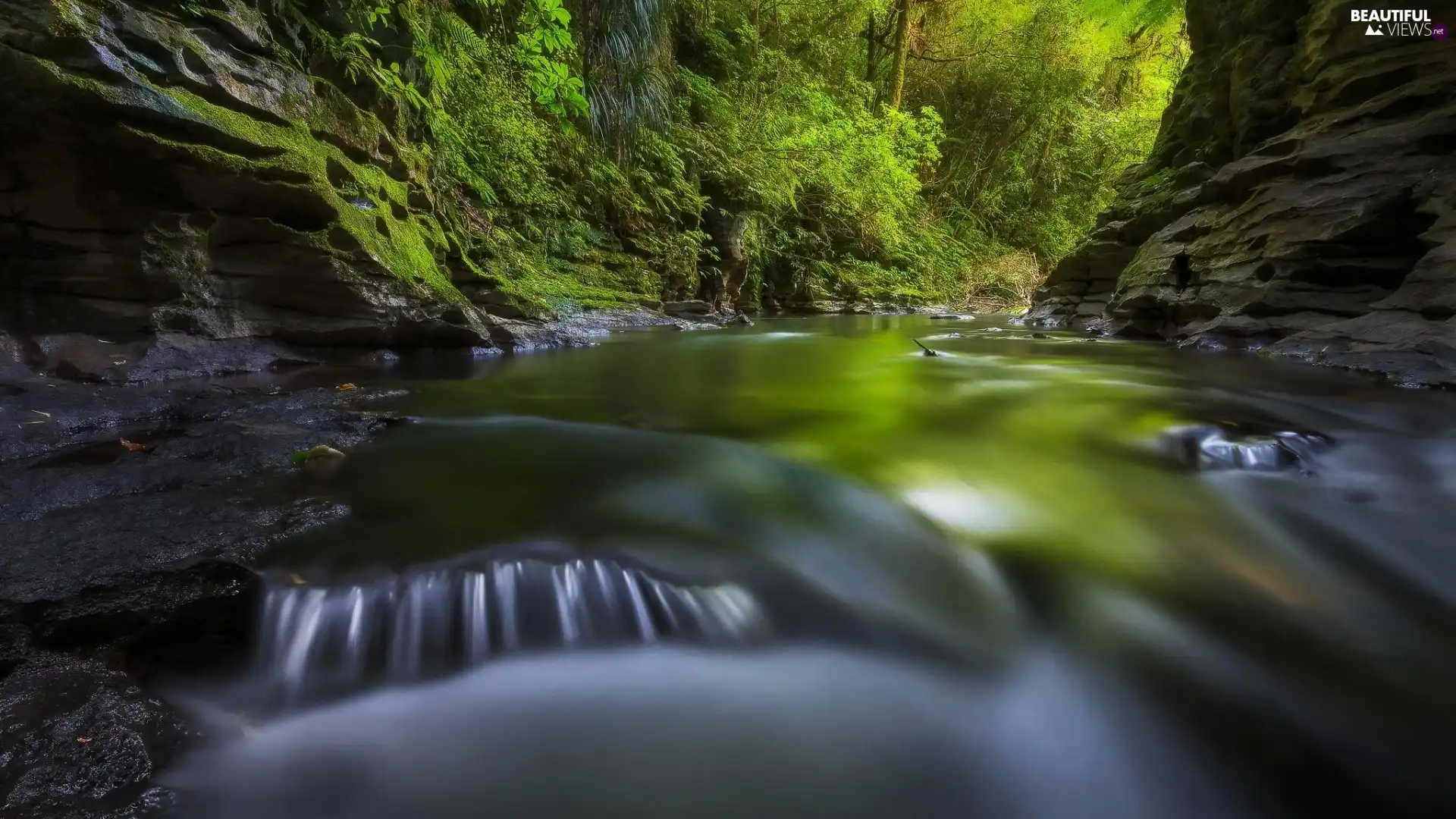 rocks, River, Waitomo Glowworm Caves, Waikato Region, trees, viewes, New Zeland, VEGETATION, North Island