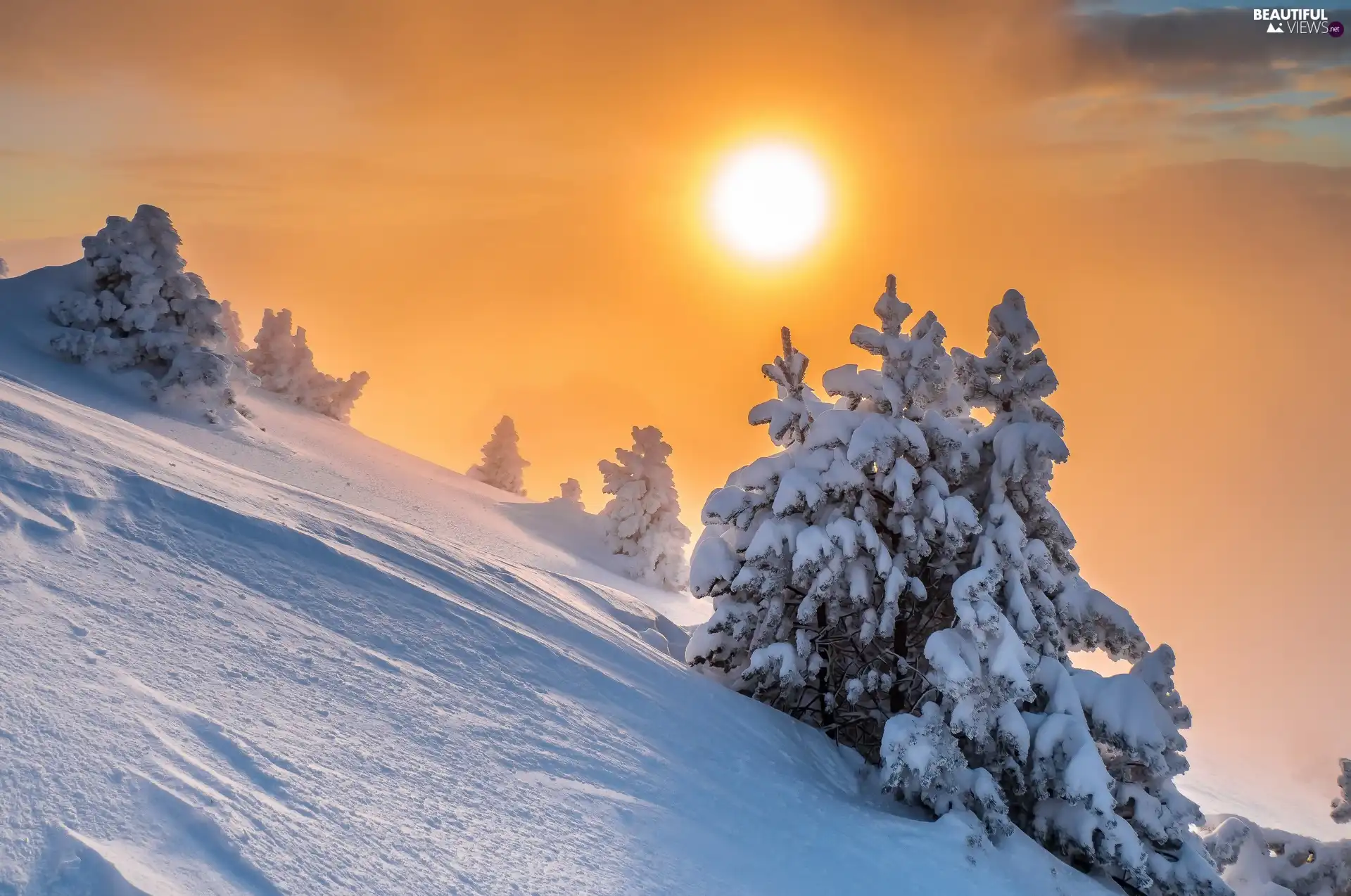 Alps, France, Chamechaude Summit, Great Sunsets, viewes, Christmas, Snowy, trees, winter