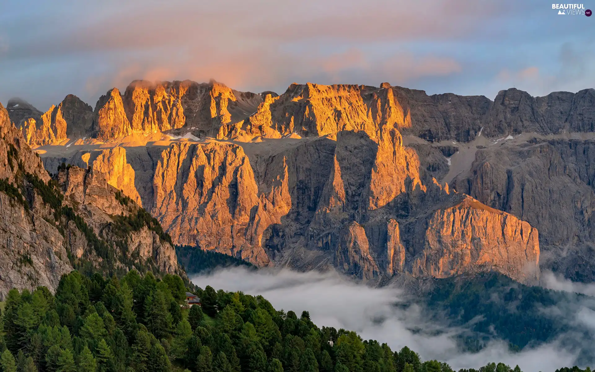 trees, viewes, cliff, Fog, Mountains