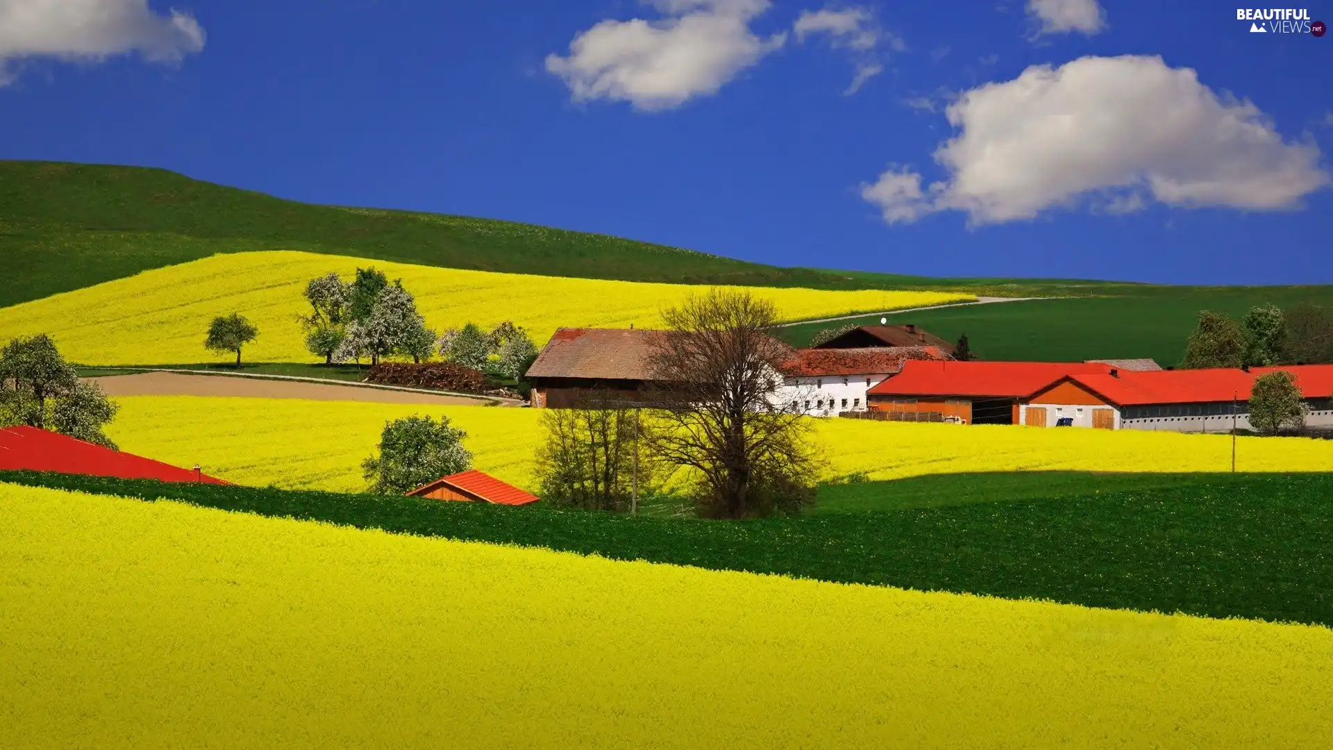 viewes, clouds, buildings, trees, field