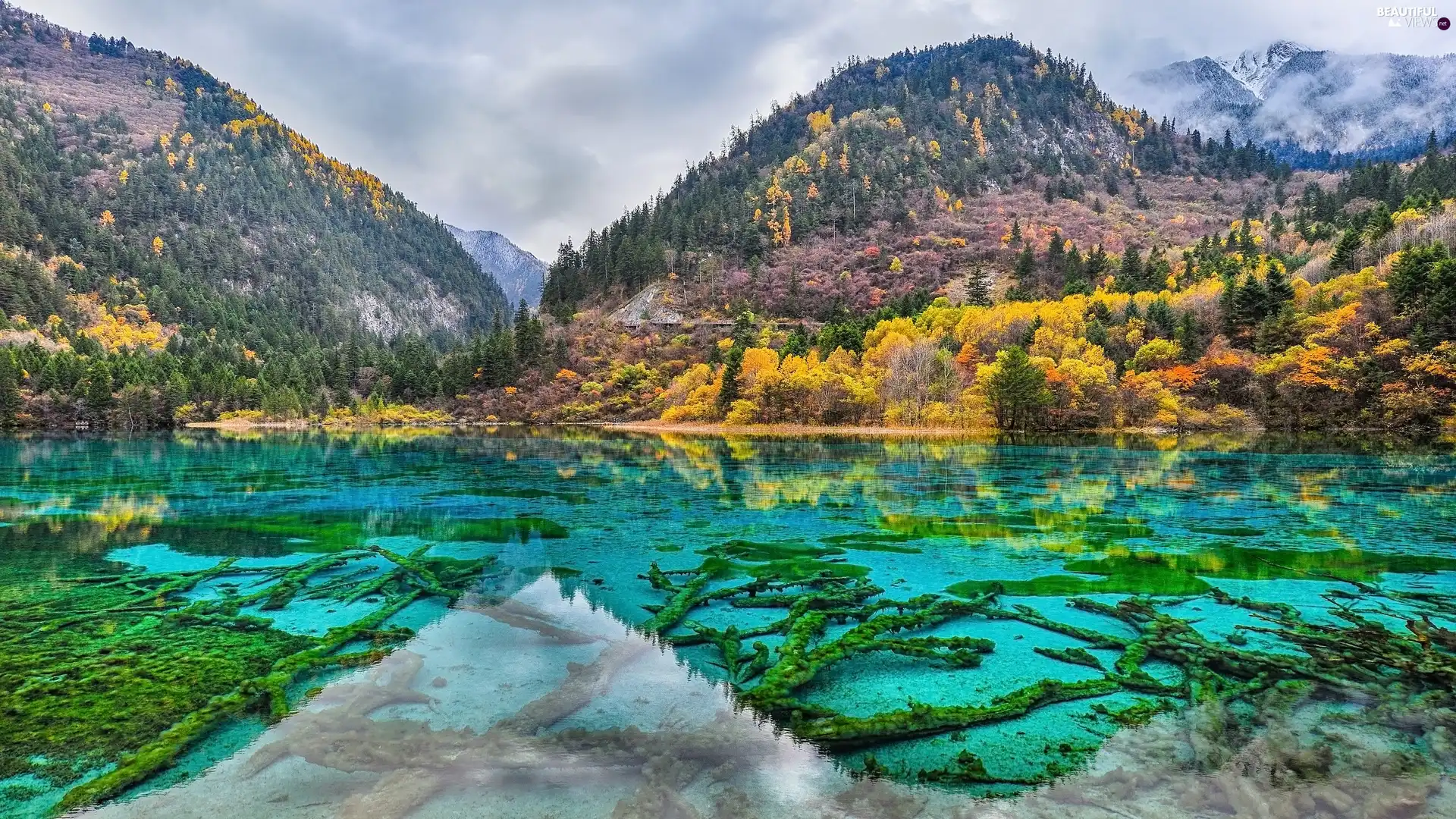 woods, trees, clouds, viewes, Mountains, lake, autumn