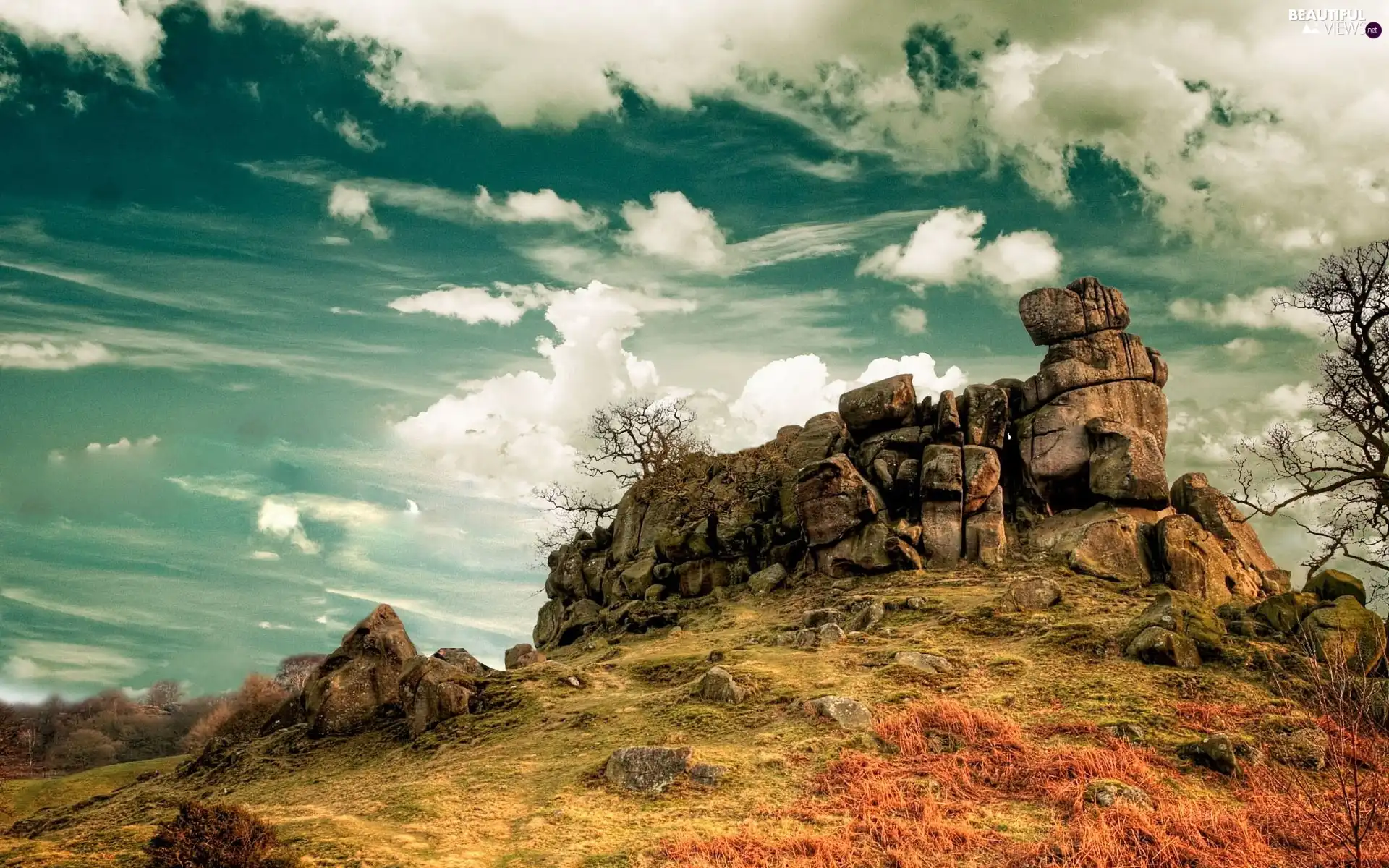 clouds, trees, viewes, rocks