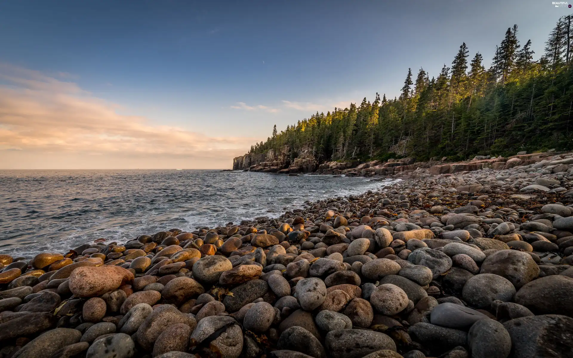 rocks, sea, trees, viewes, Stones, coast