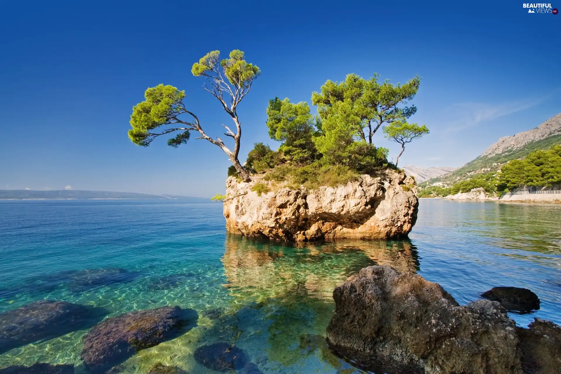 Coast, trees, viewes, Rocks