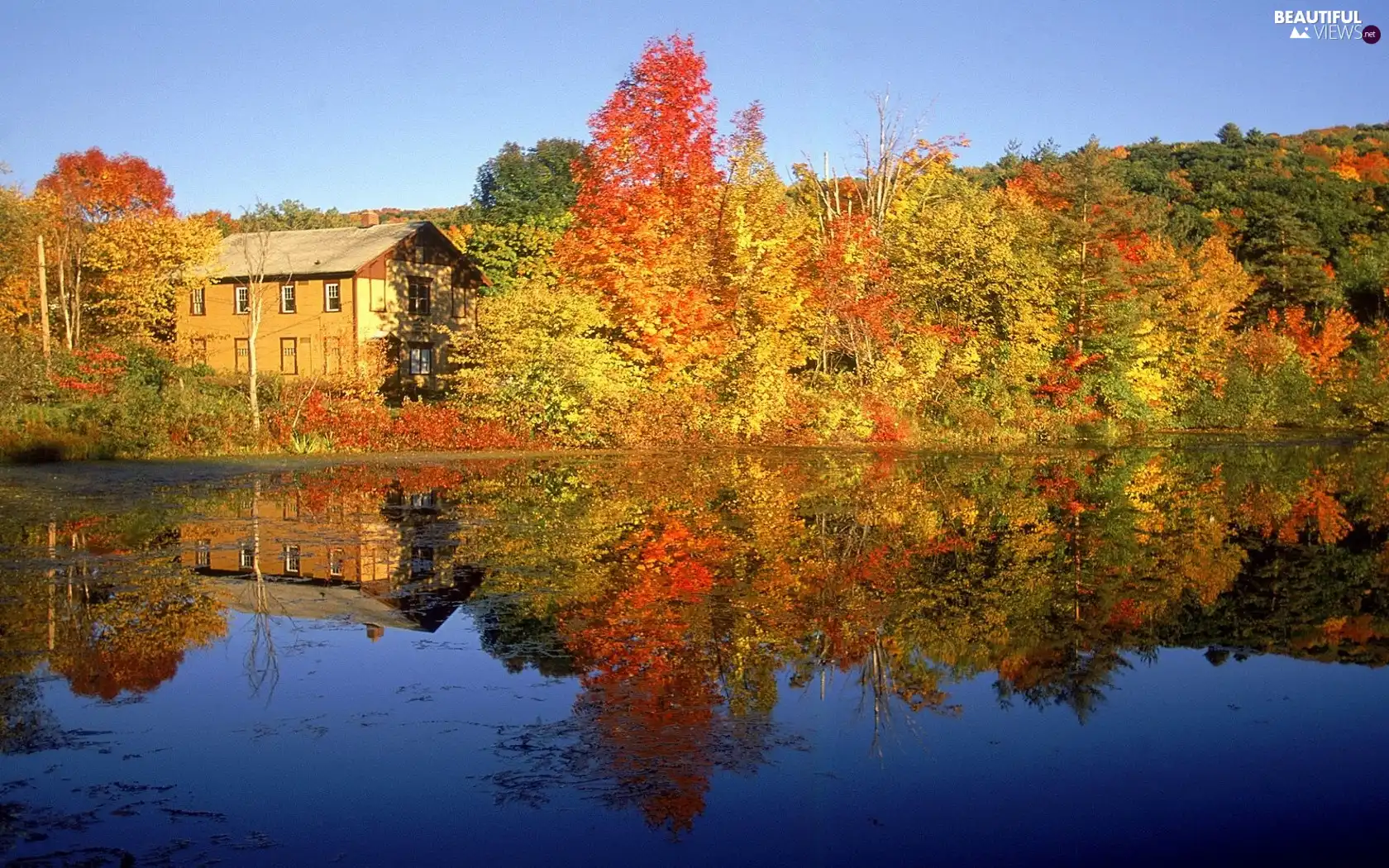 house, autumn, viewes, color, trees, lake