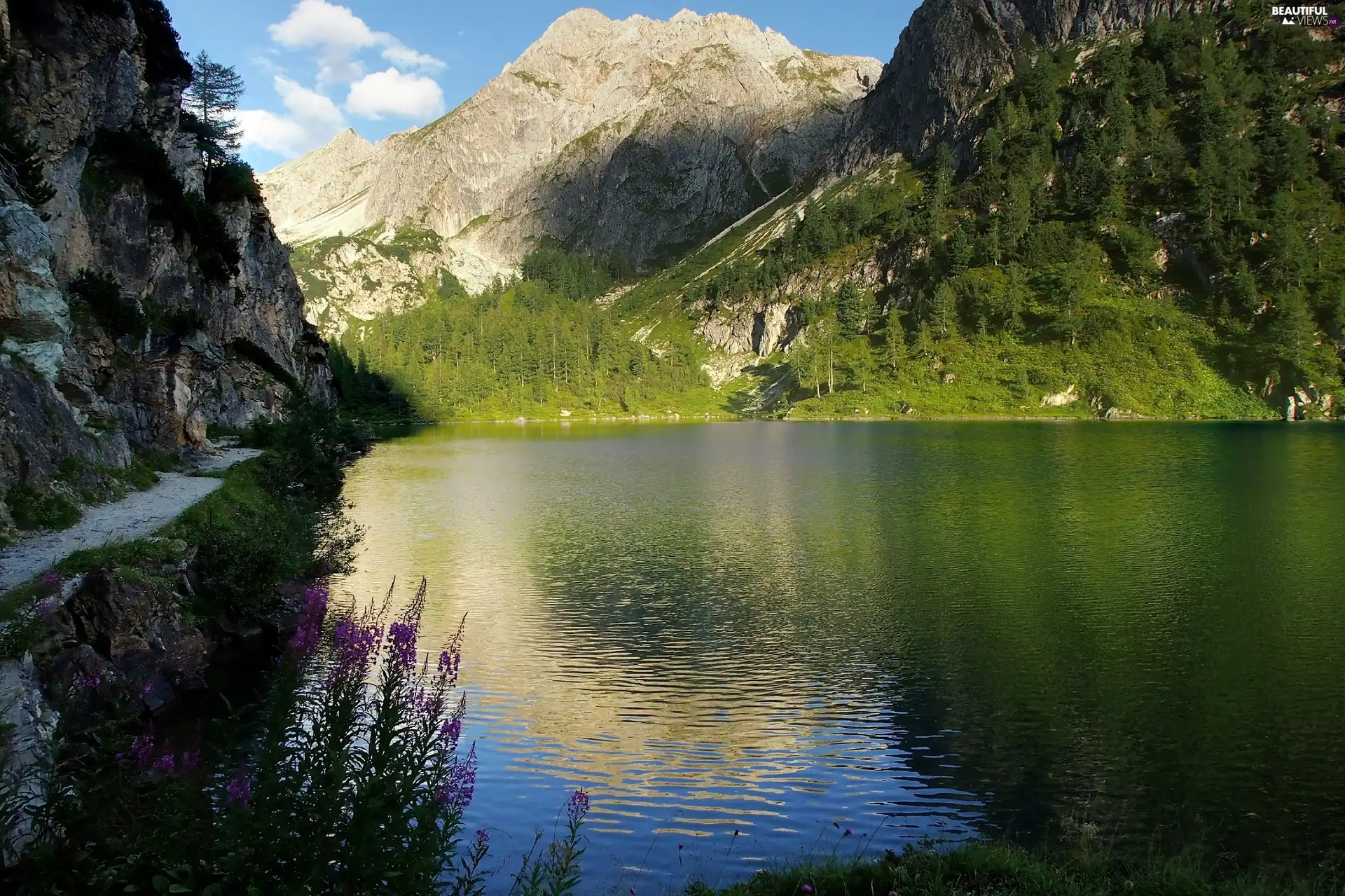 viewes, Conifers, Mountains, trees, lake