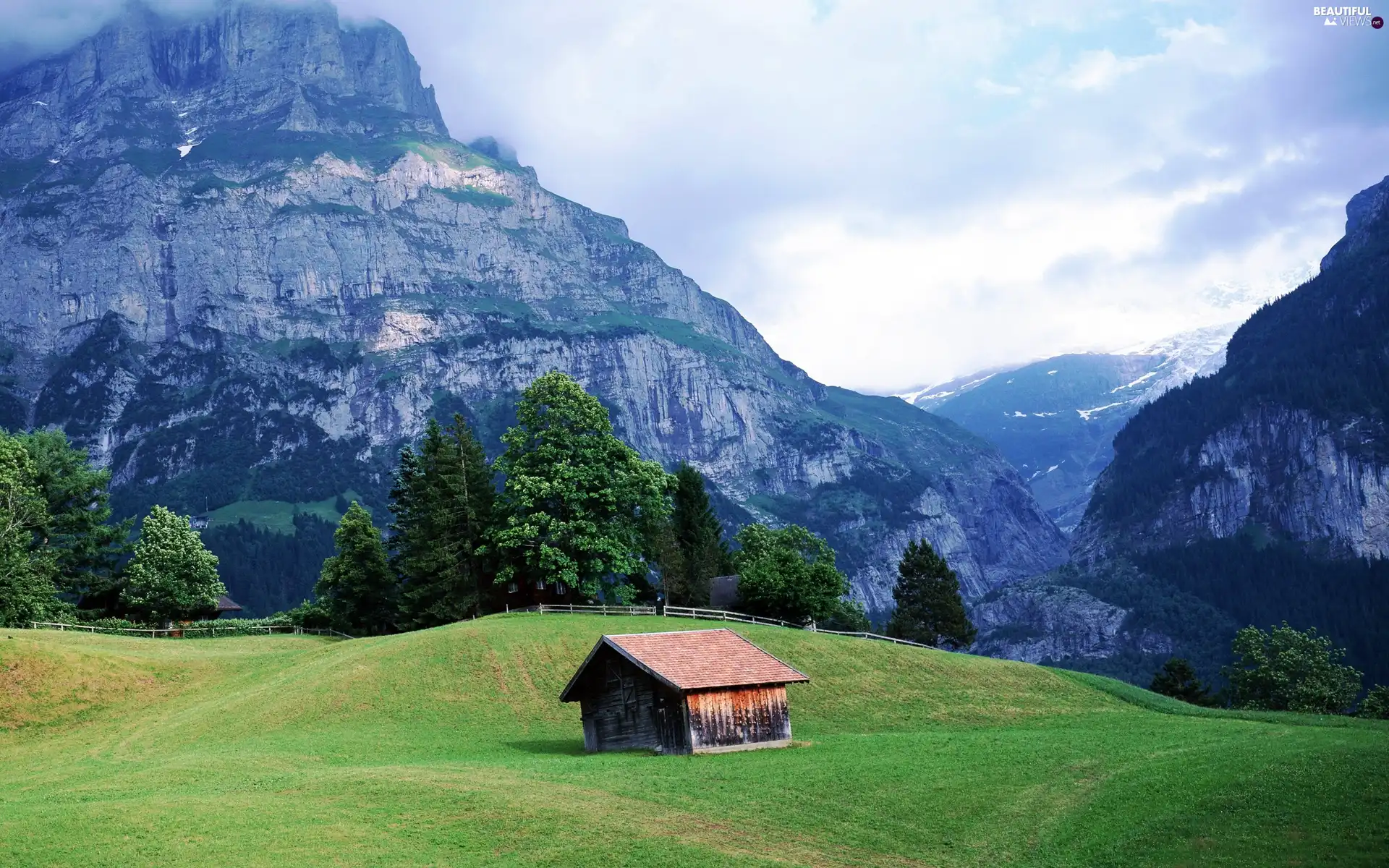 viewes, cote, Meadow, trees, Mountains