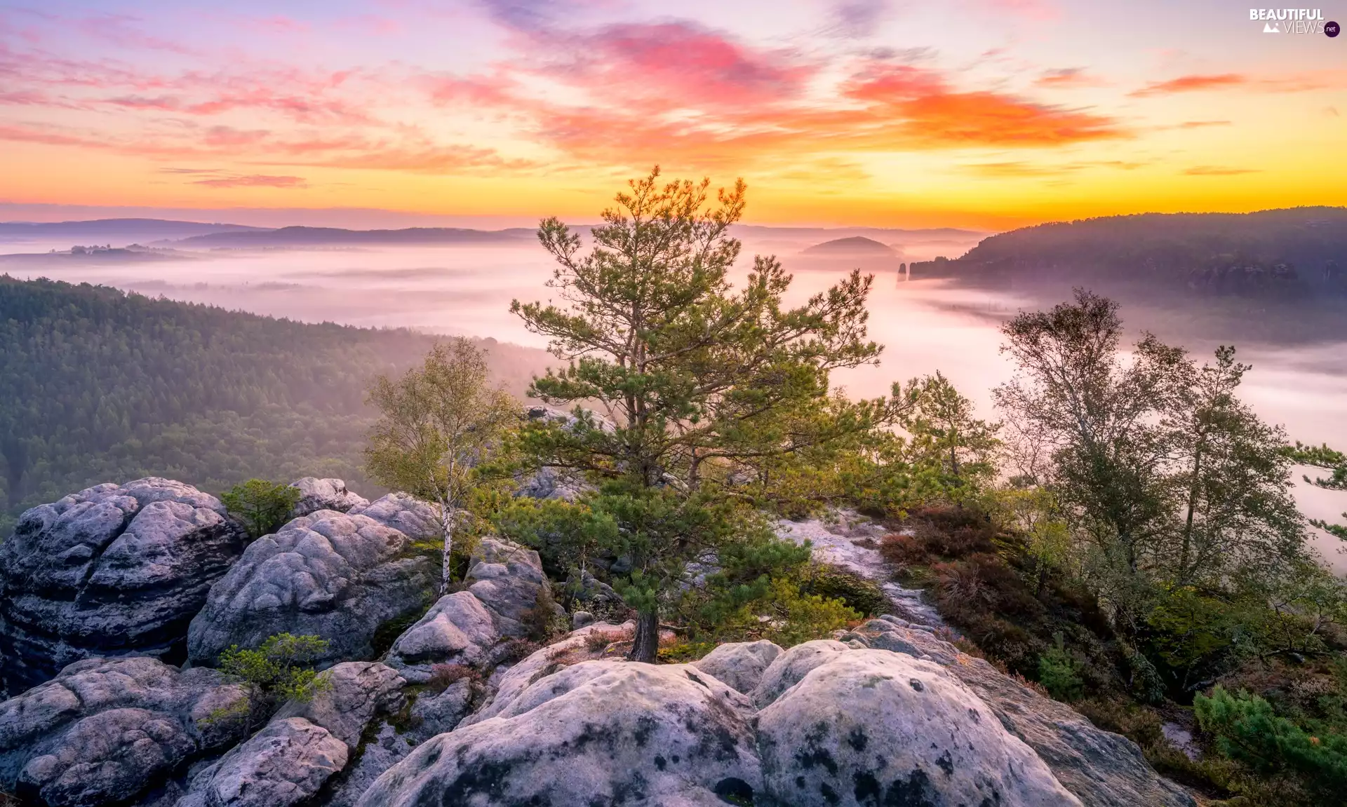 viewes, woods, Germany, rocks, Sunrise, trees, Děčínská vrchovina, Fog