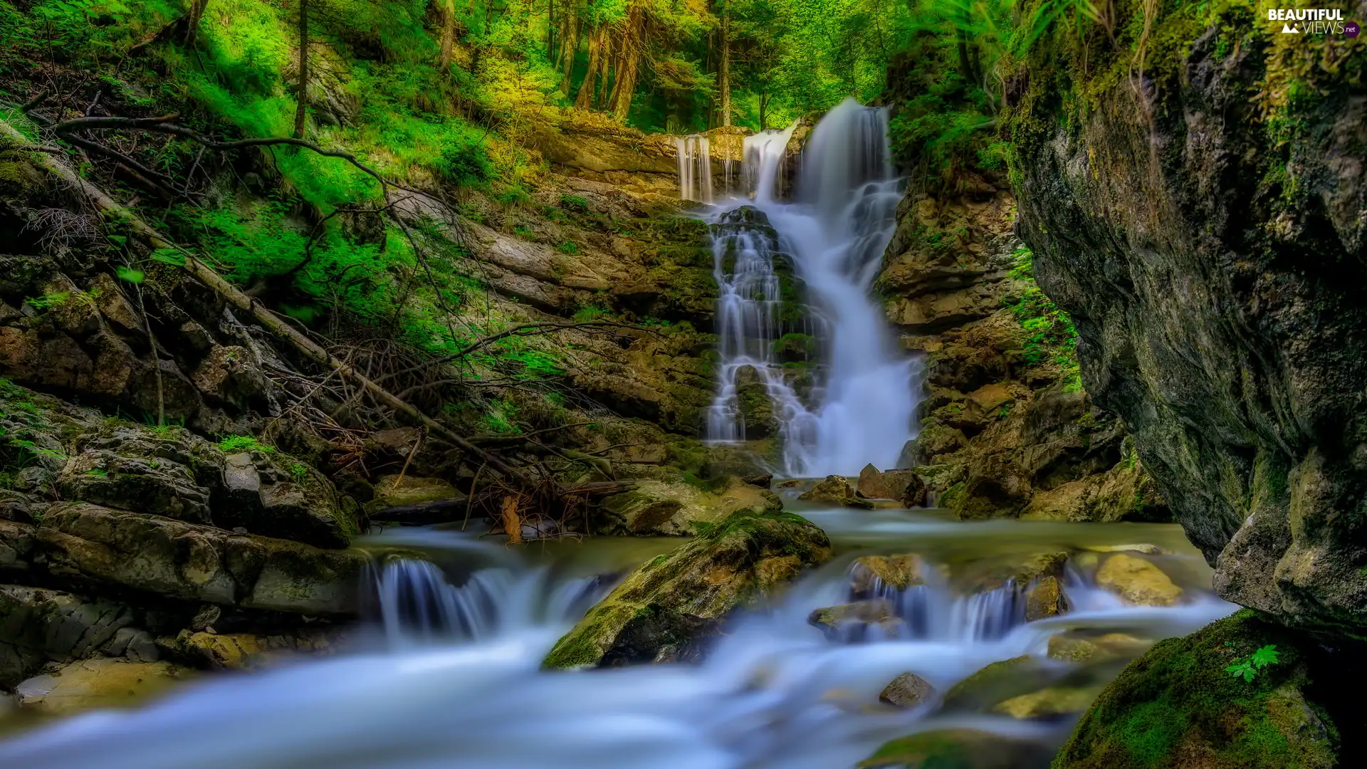 waterfall, trees, fallen, viewes, rocks, River, trees