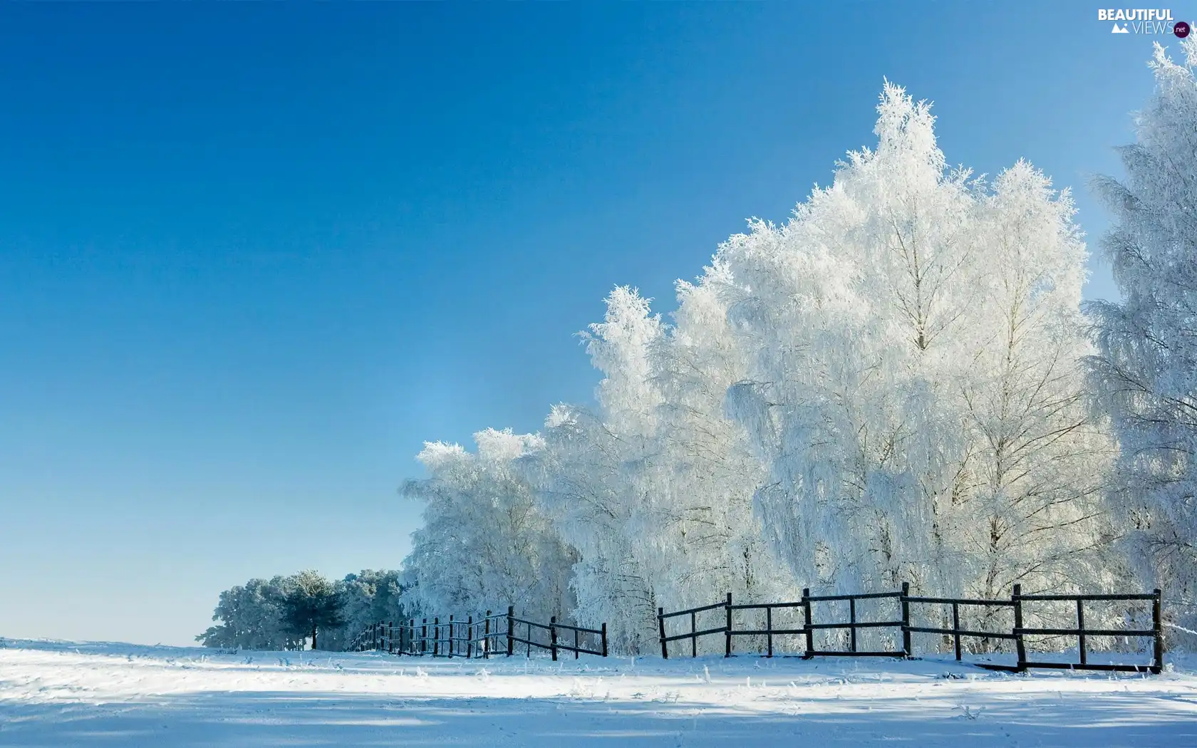 viewes, Fance, Field, trees, Snowy