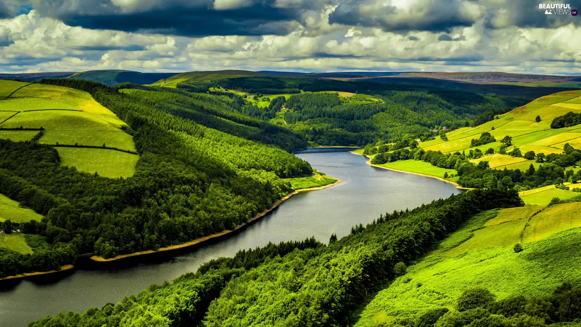 viewes, woods, green ones, trees, River, field, The Hills