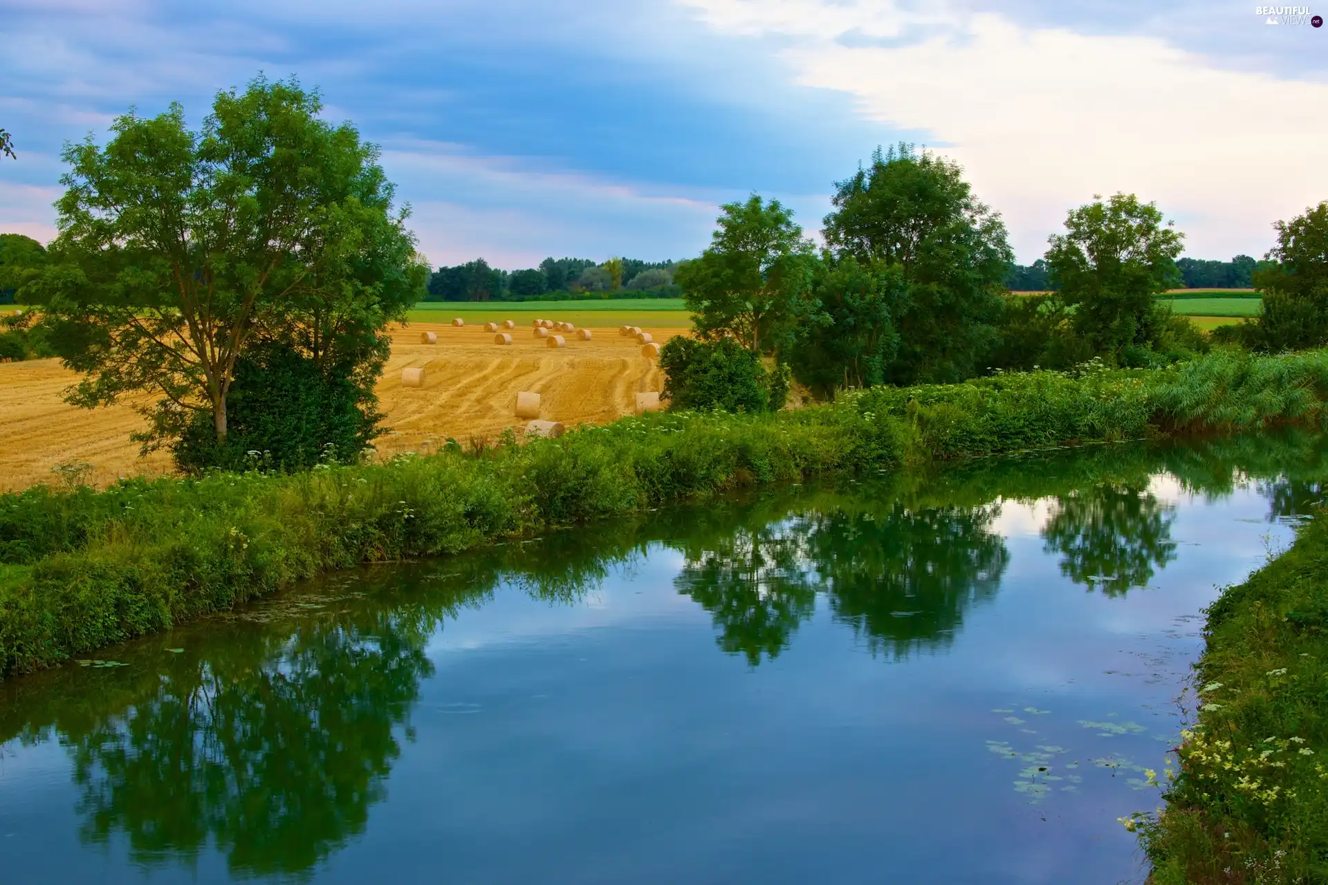 Field, trees, viewes, River