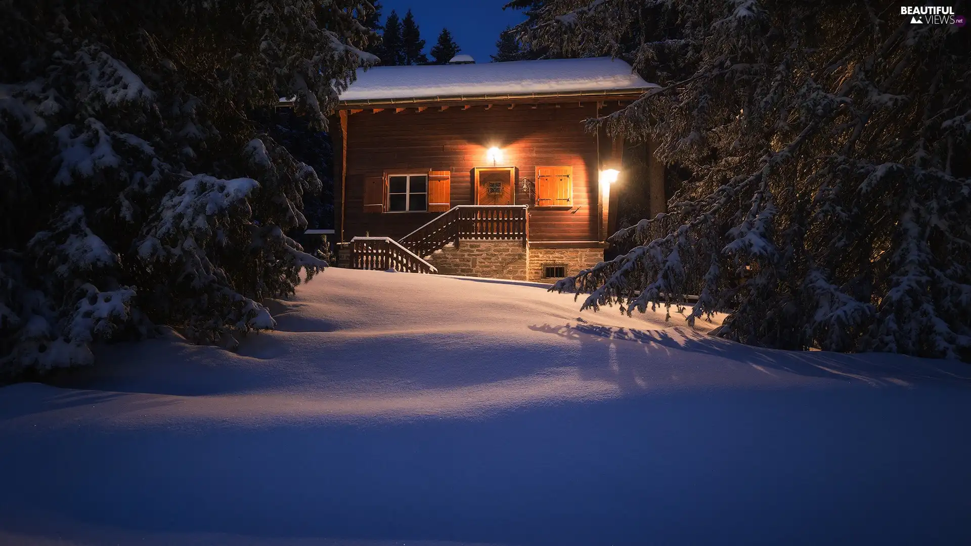 forest, trees, Floodlit, viewes, winter, snow, house