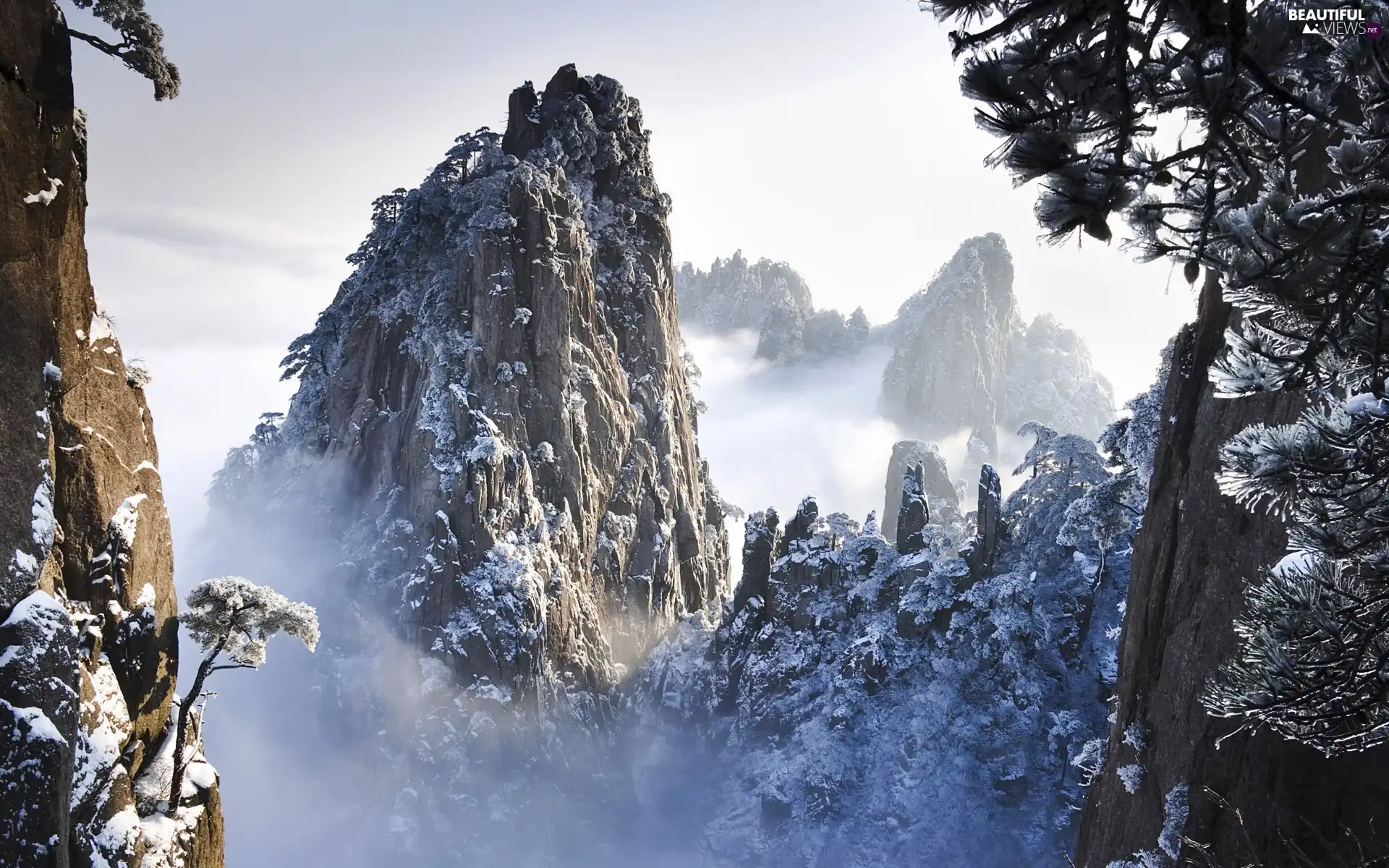 viewes, Fog, Rocky, trees, Mountains