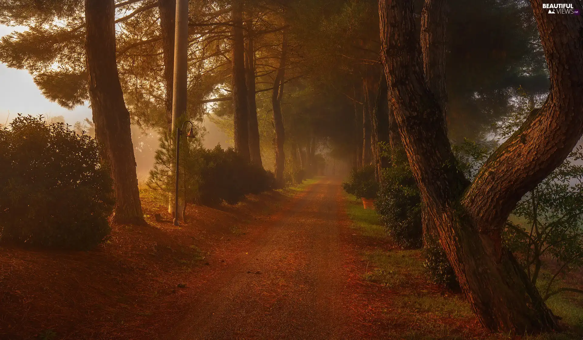 Lighthouse, autumn, viewes, Fog, trees, Way