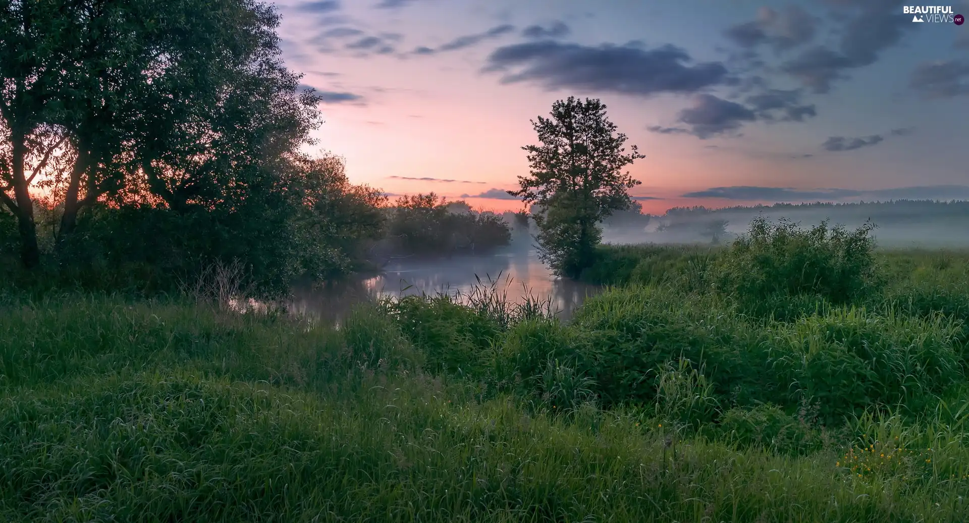 lake, dawn, trees, viewes, scrub, Fog