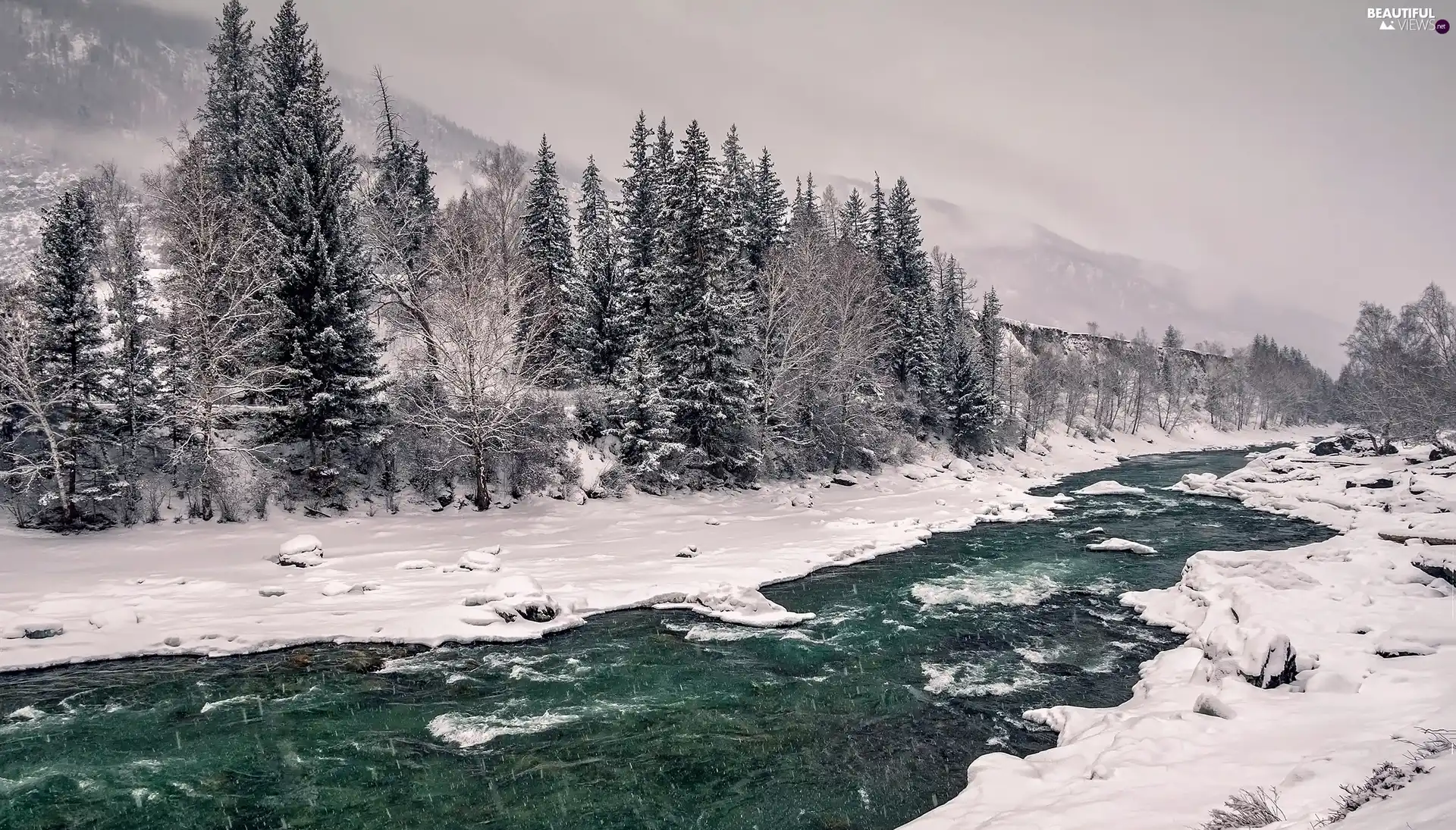 River, winter, trees, viewes, Snowy, Fog