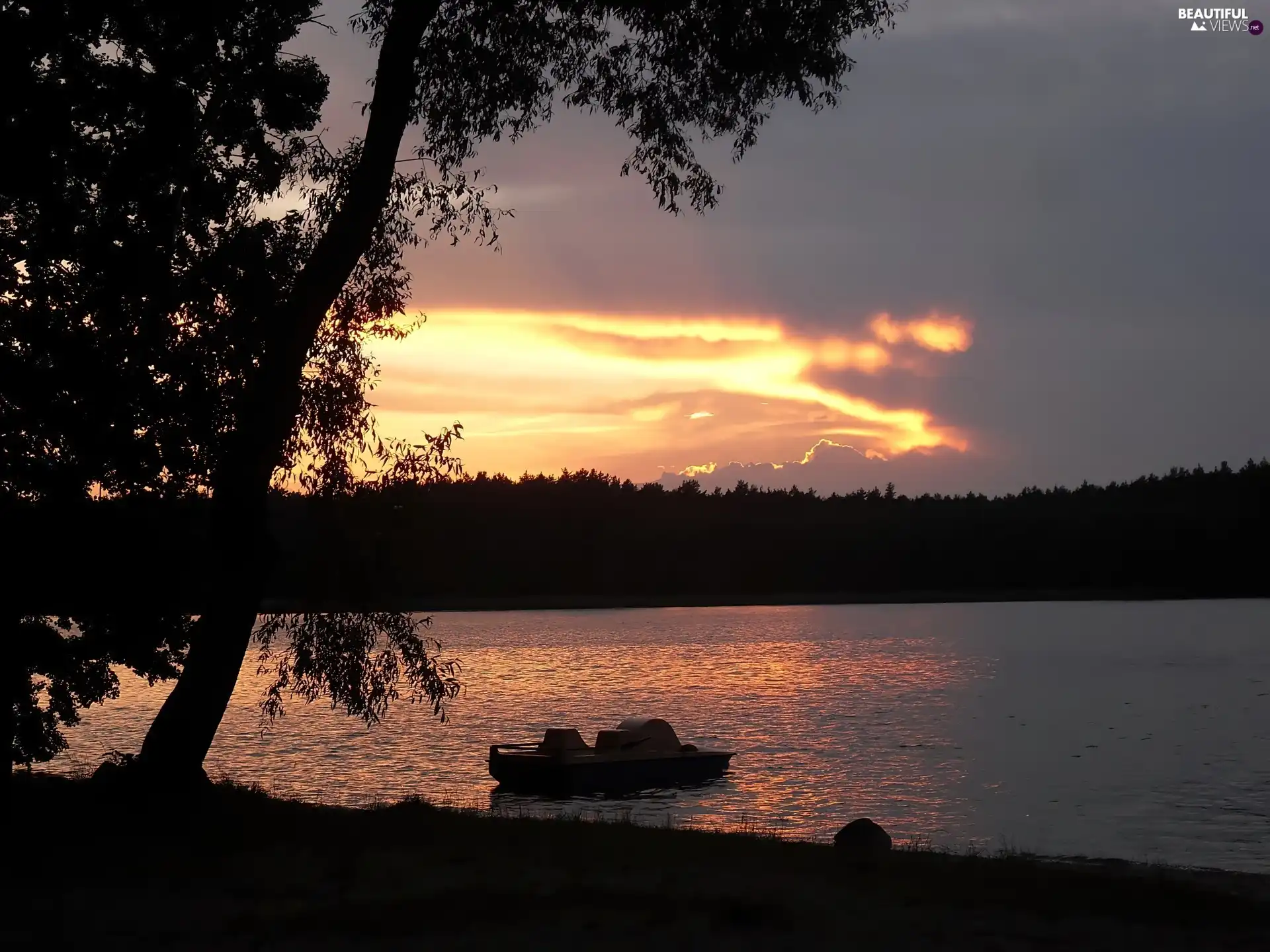 viewes, forest, lake, trees, Great Sunsets