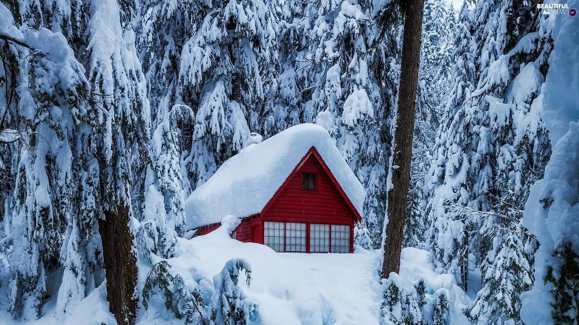 house, winter, trees, viewes, Snowy, forest