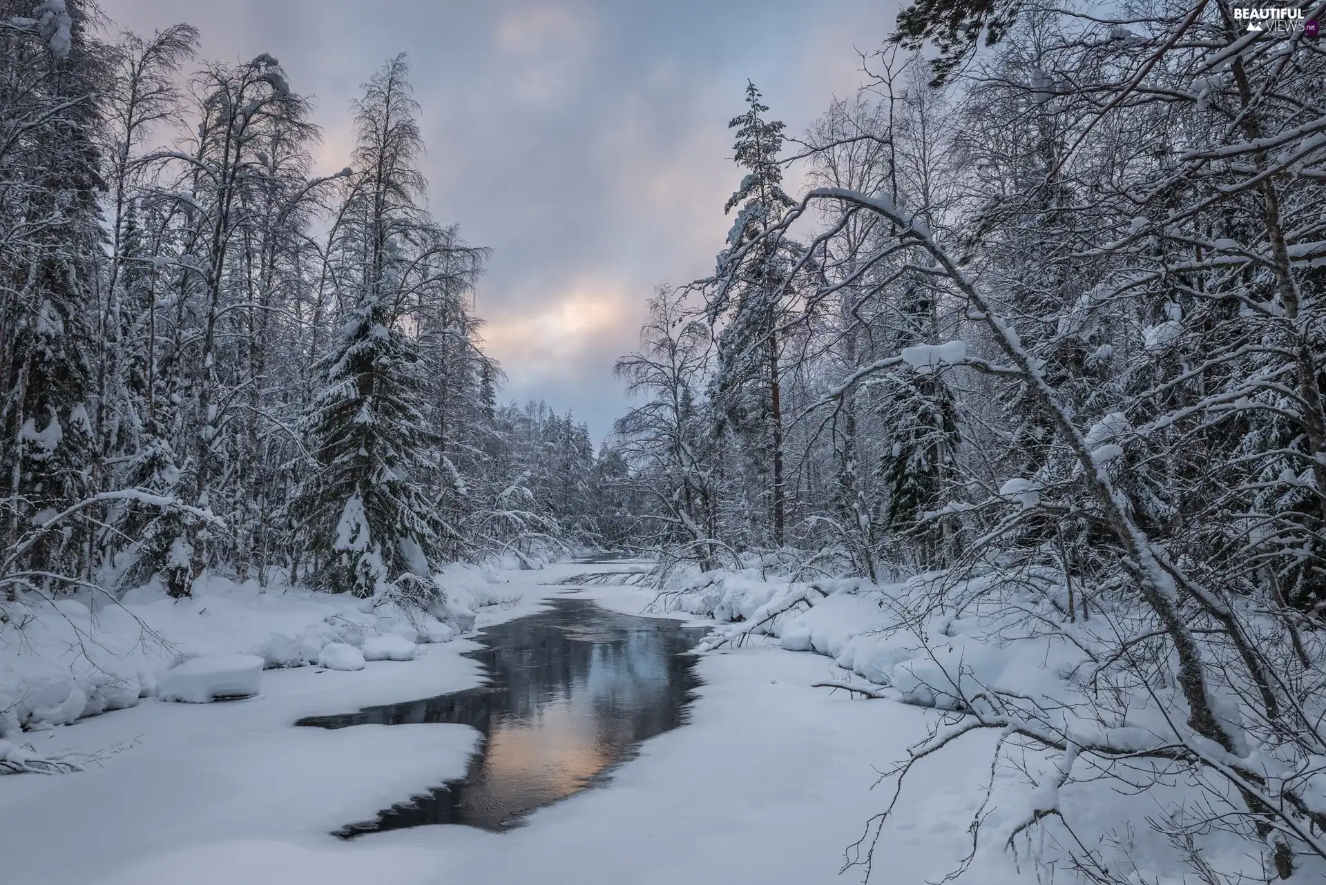 River, winter, trees, viewes, Snowy, forest