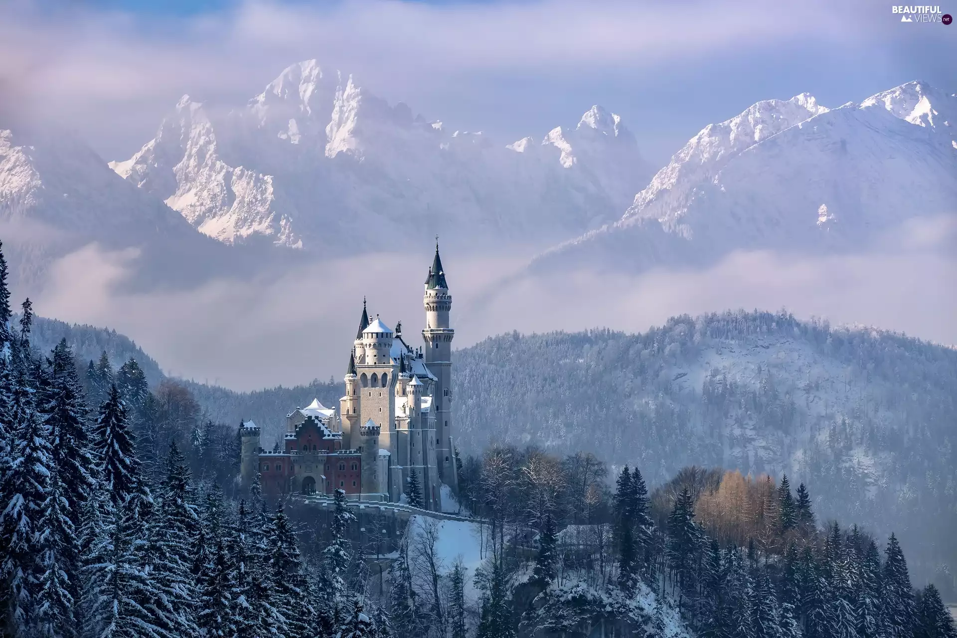 Snowy, forest, trees, winter, Allgäu Region, viewes, Alps Mountains, Germany, Fog, Neuschwanstein Castle, Schwangau Commune, Bavaria
