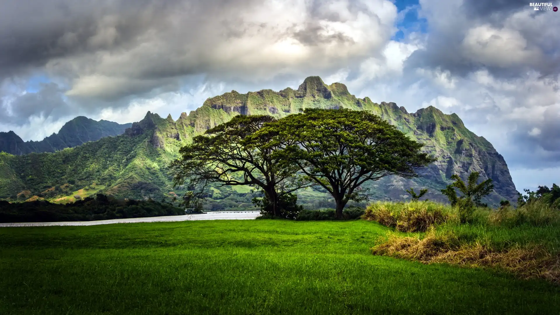 viewes, grass, Mountains, trees, clouds