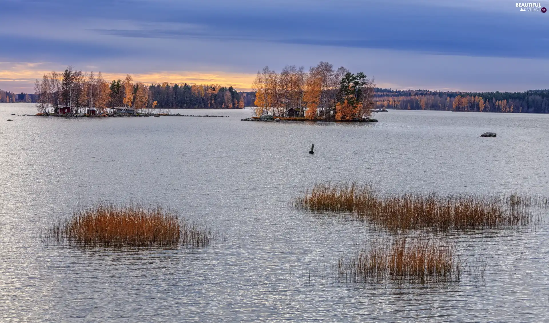 trees, viewes, grass, Autumn, lake