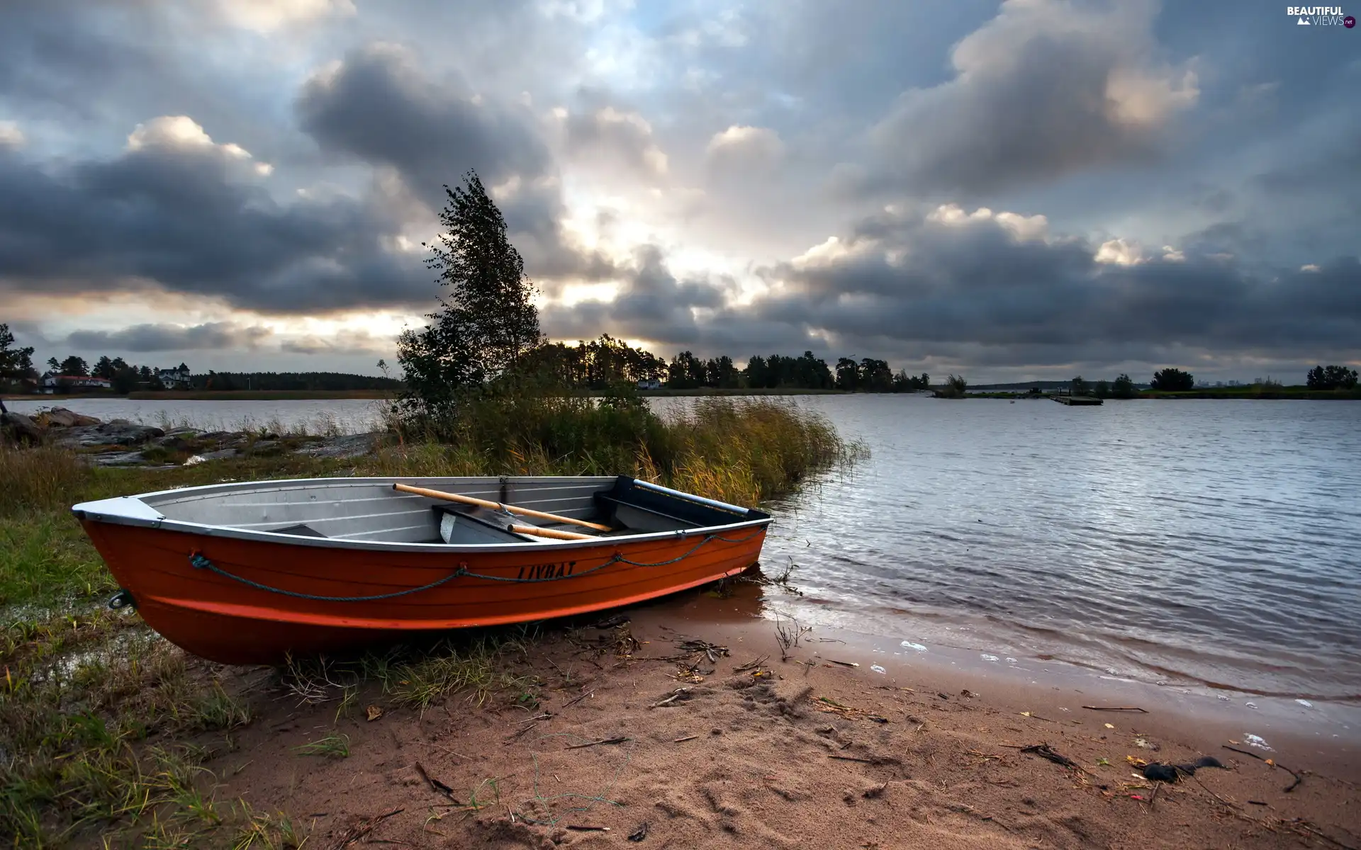 viewes, grass, Lodz, trees, lake