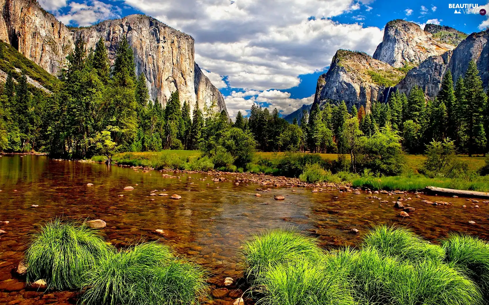 viewes, grass, water, trees, Mountains