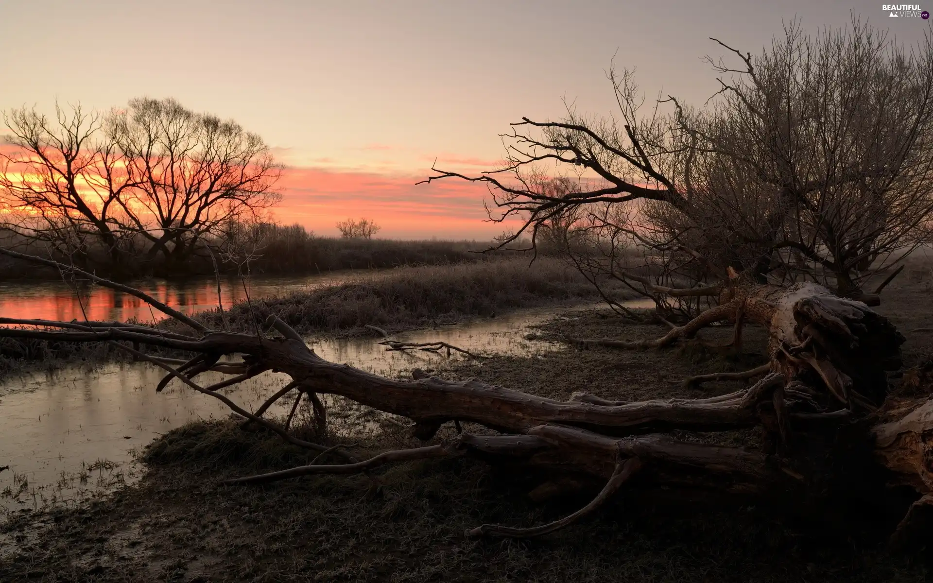 River, trees, viewes, Great Sunsets