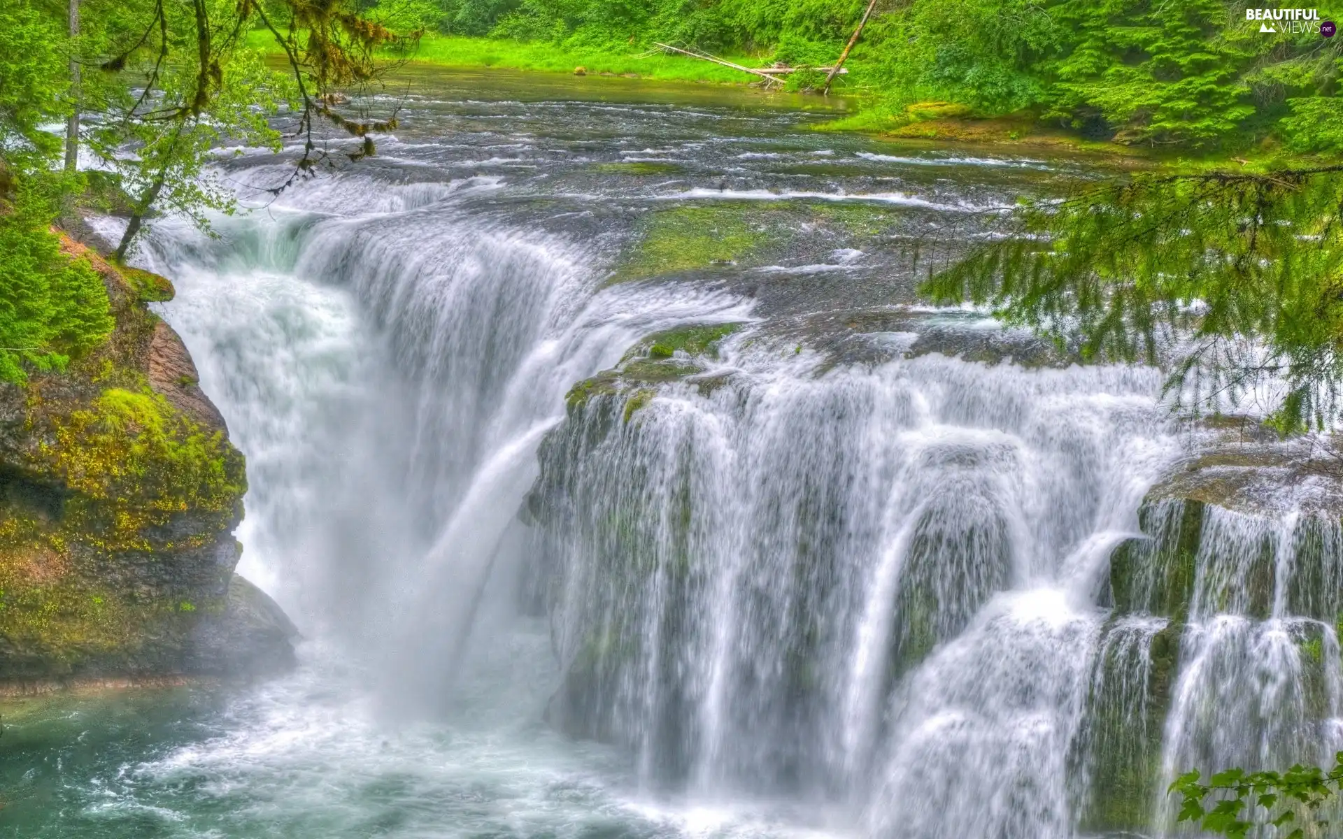 green, trees, viewes, waterfall