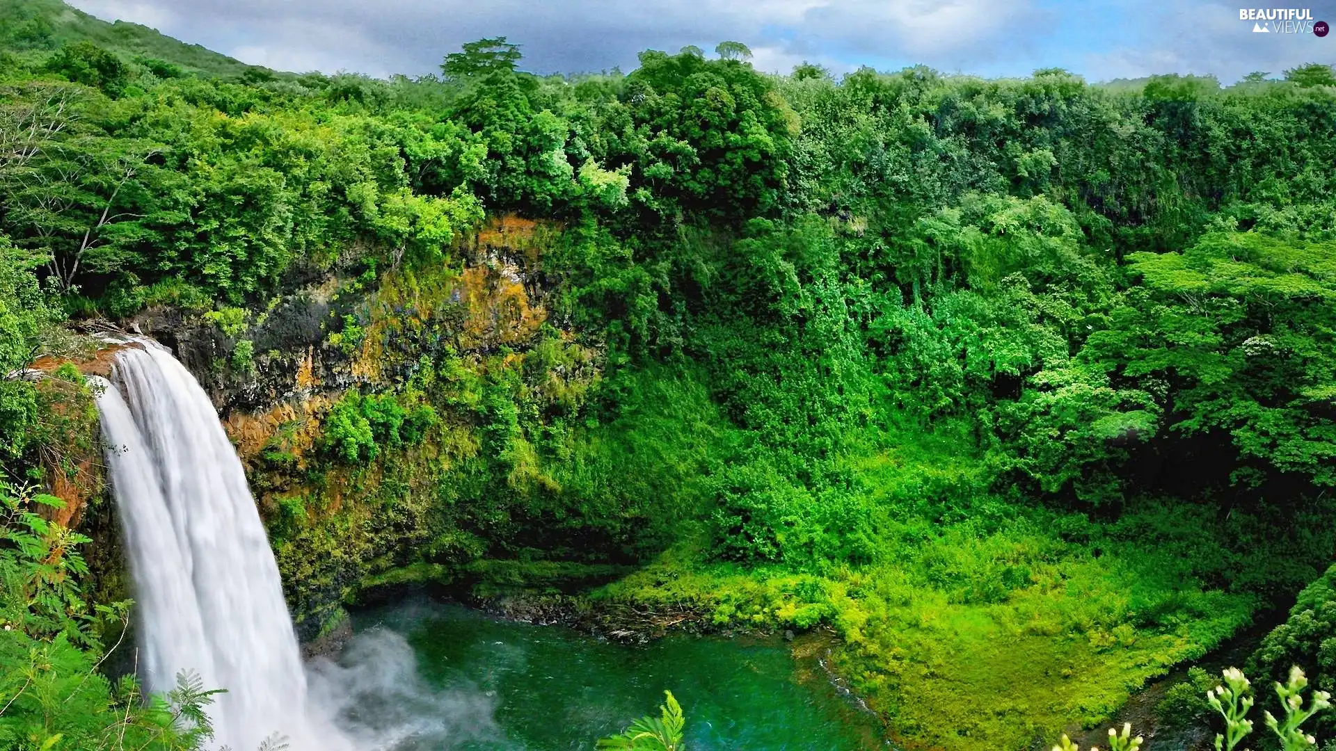 viewes, rocks, green ones, trees, waterfall