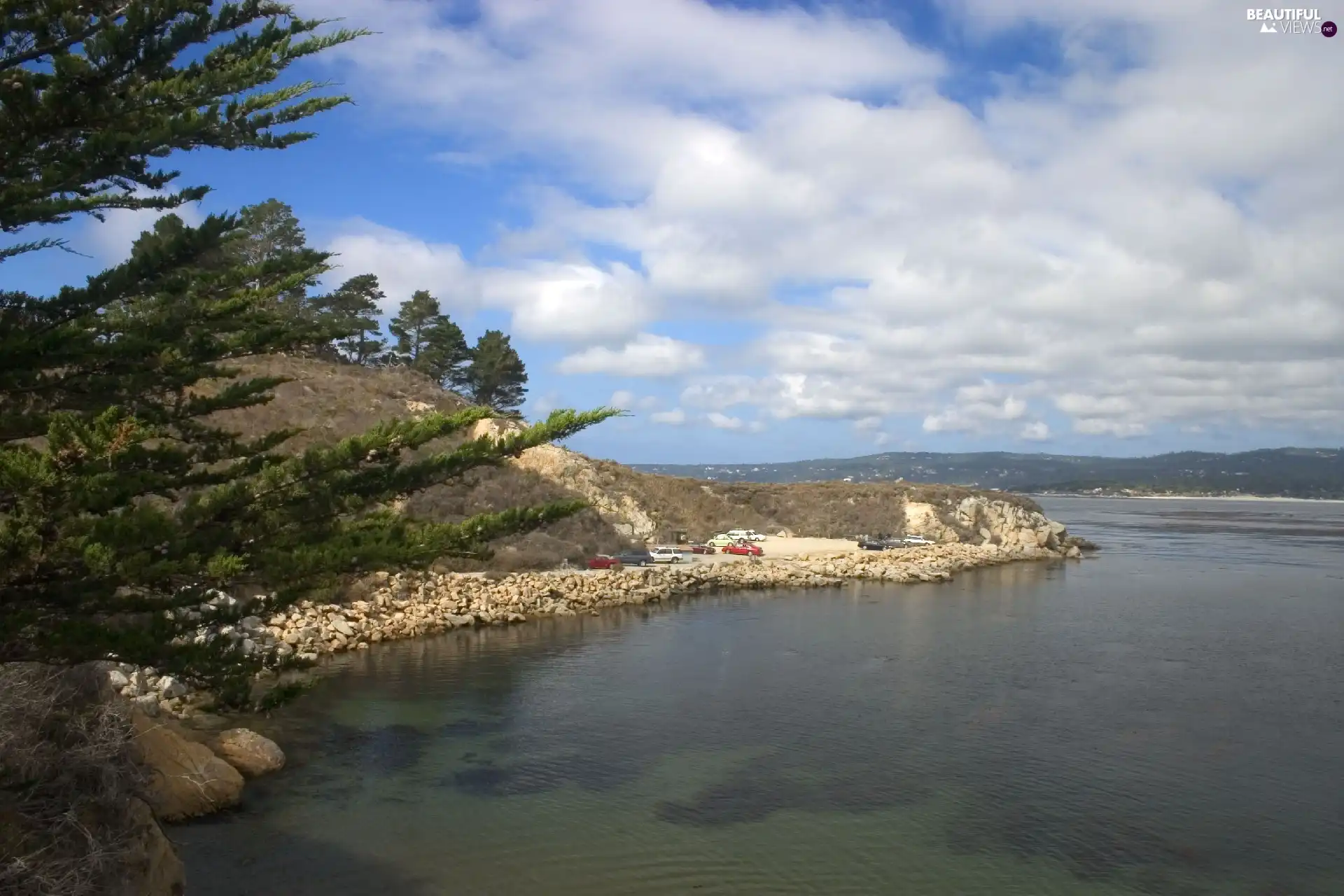 Gulf, trees, viewes, water