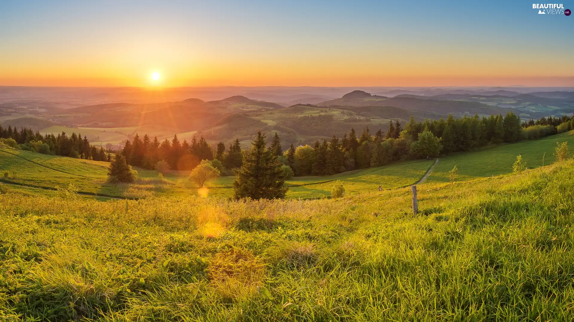 medows, Sunrise, trees, viewes, The Hills