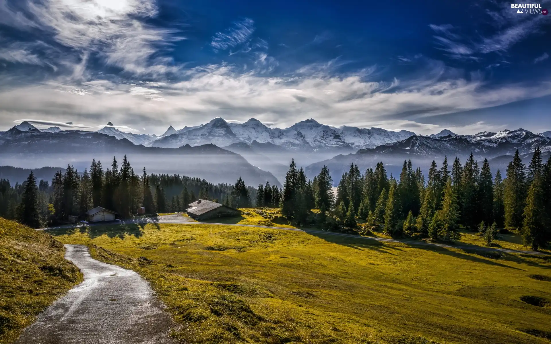 viewes, car in the meadow, Way, trees, Mountains, Houses, forest