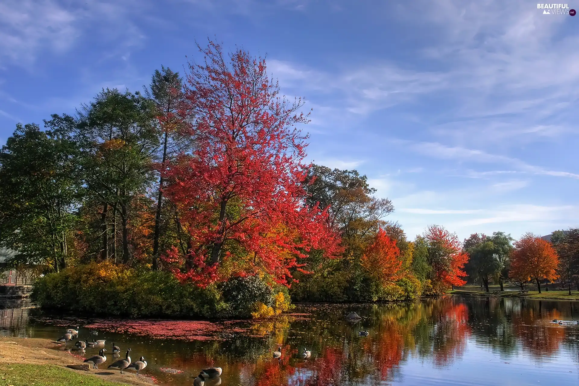 viewes, lake, color, trees, autumn
