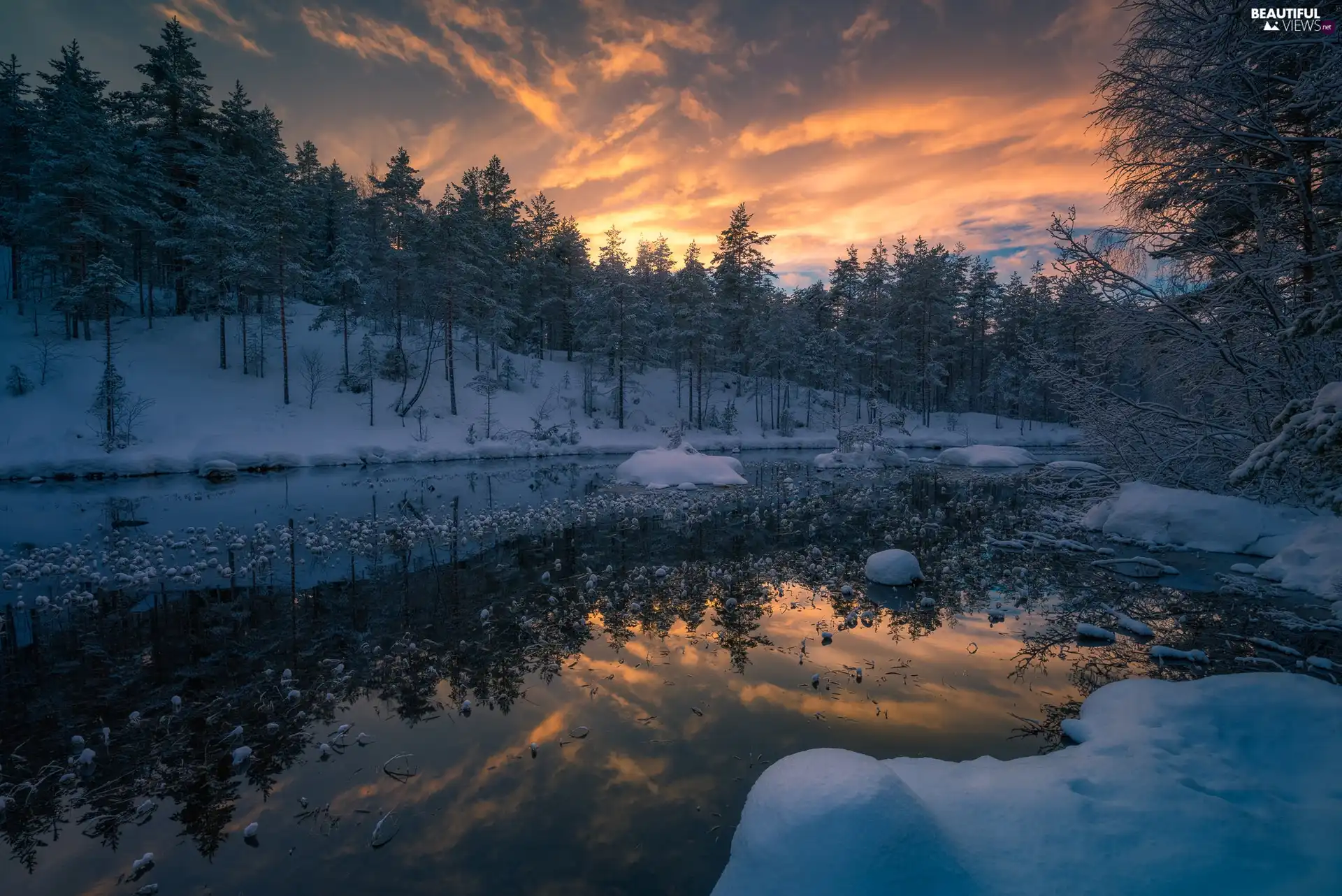 Ringerike Municipality, Norway, winter, snow, trees, viewes, lake, forest, Great Sunsets