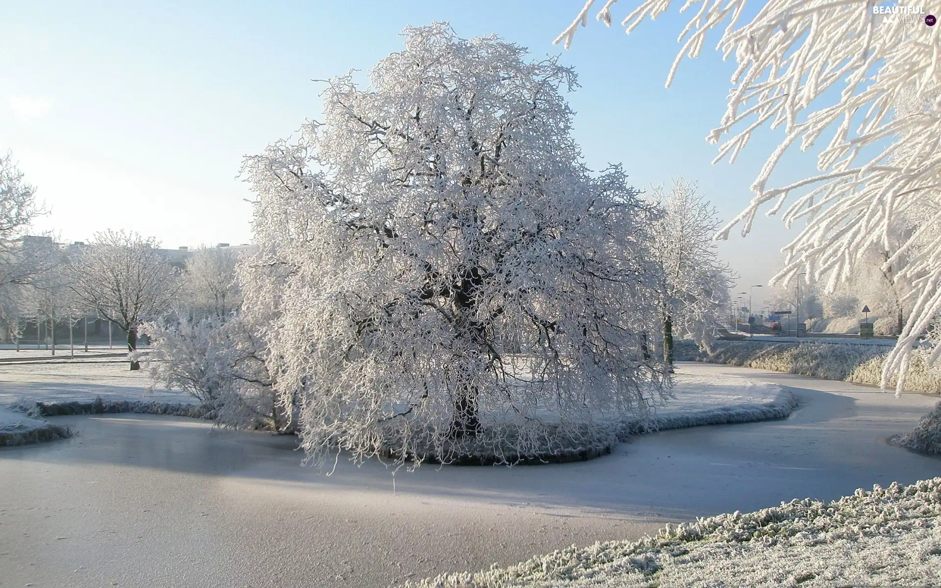 viewes, lake, drifts, trees, snow