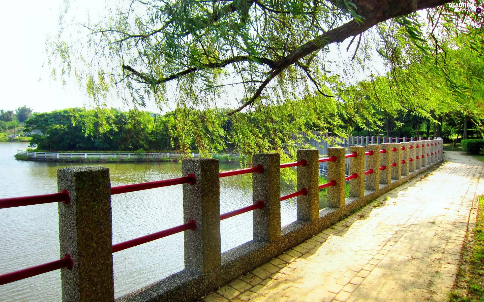 lake, trees, viewes, boulevard