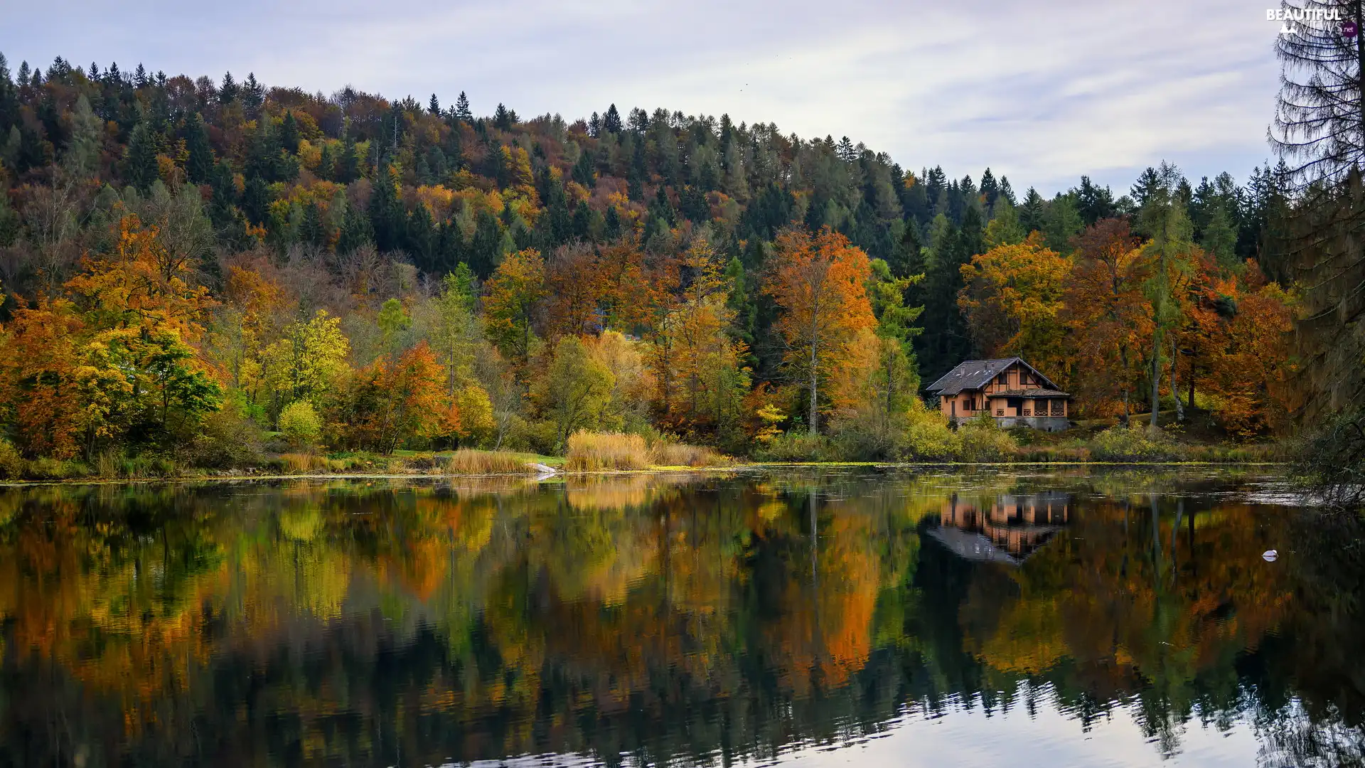 house, autumn, trees, viewes, color, lake