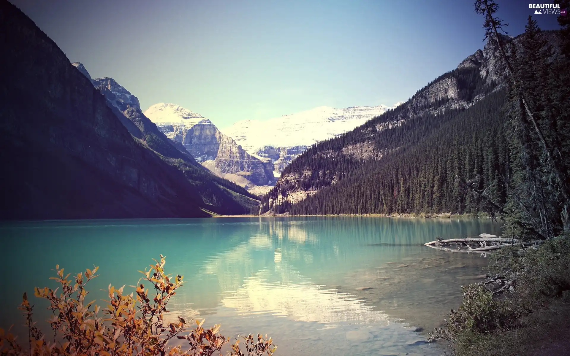 lake, trees, viewes, Mountains