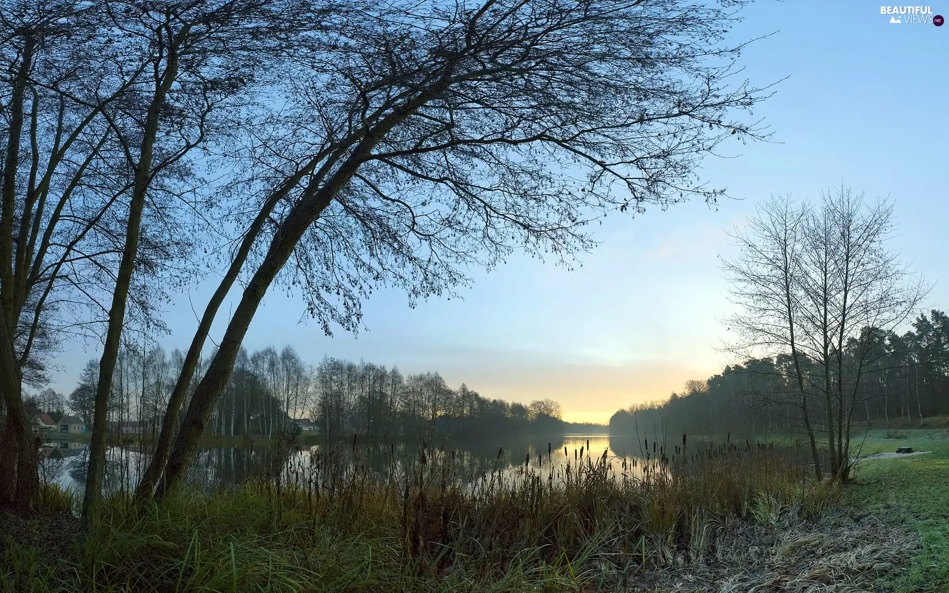 lake, trees, viewes, scrub