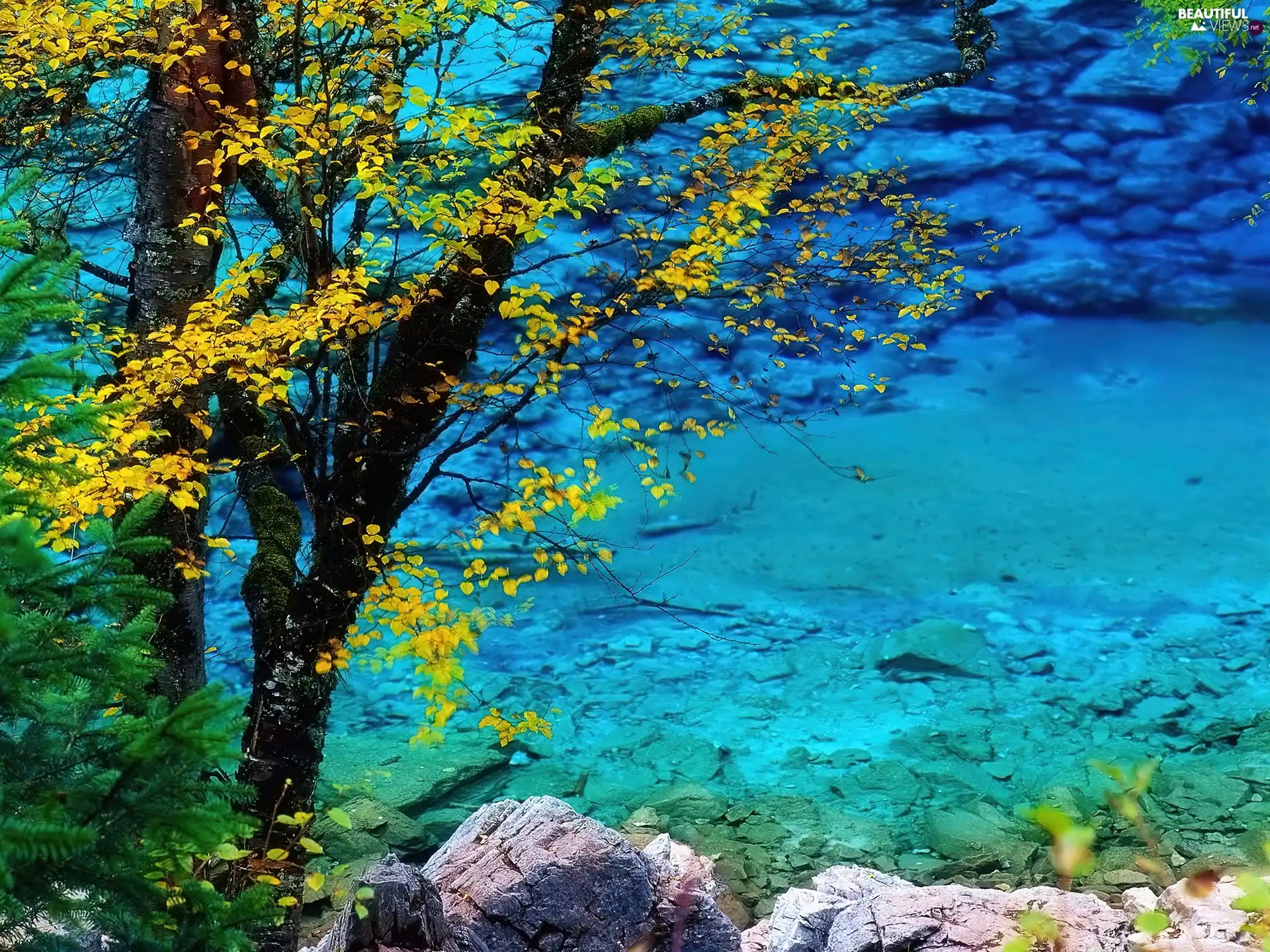 lake, trees, viewes, Stones