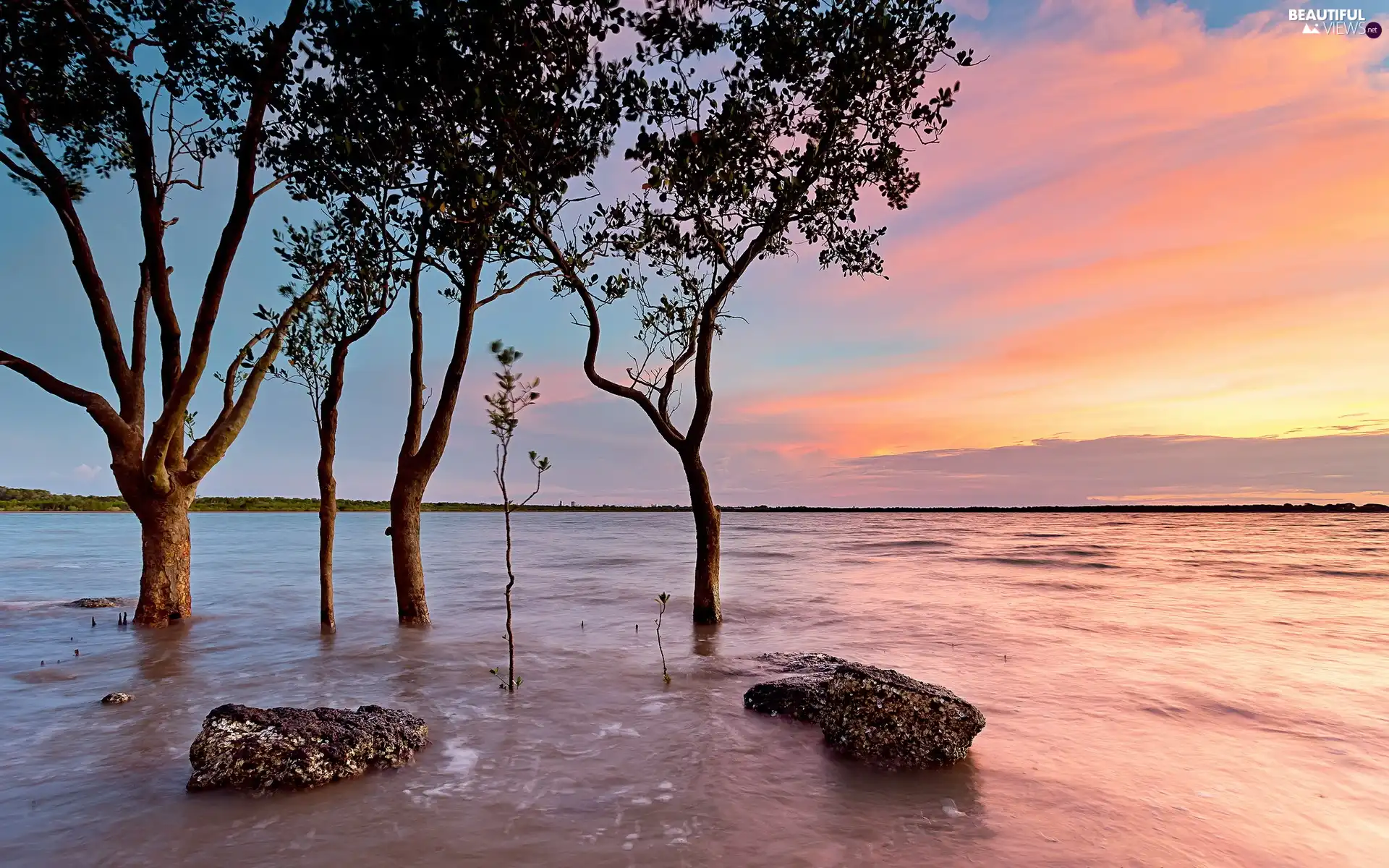 viewes, lake, sun, trees, west