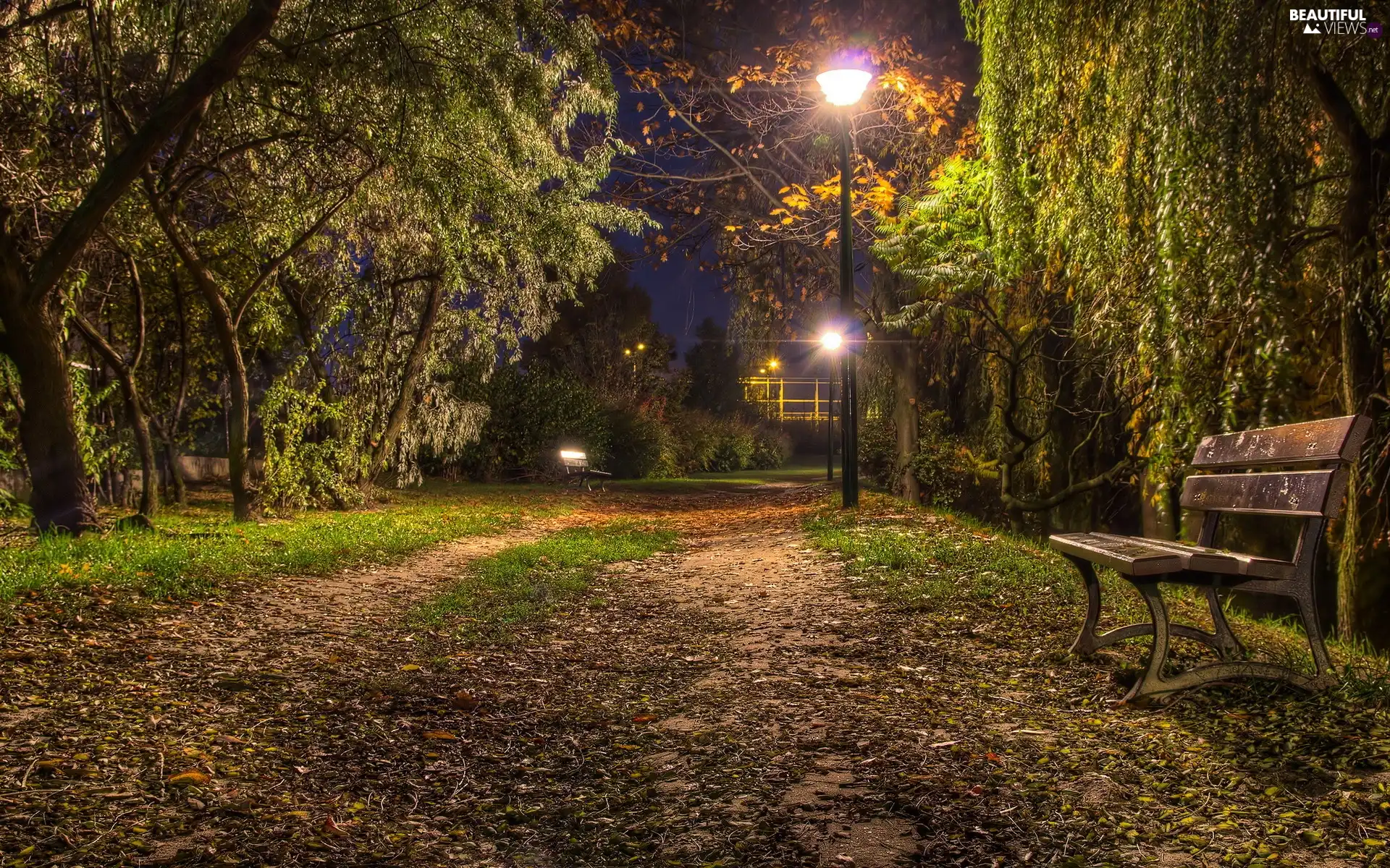 Bench, Park, viewes, Lamps, trees, evening