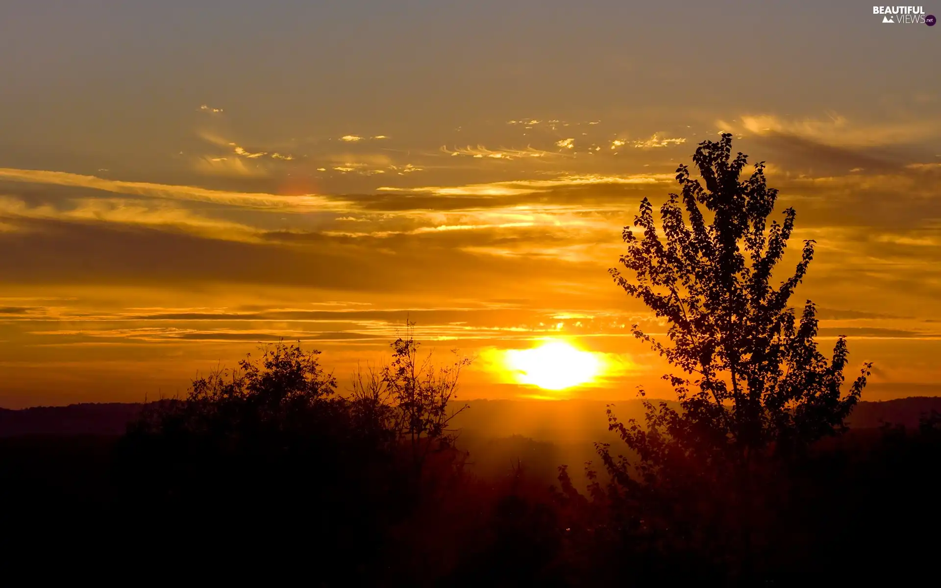 west, clouds, viewes, Leaf, trees, sun