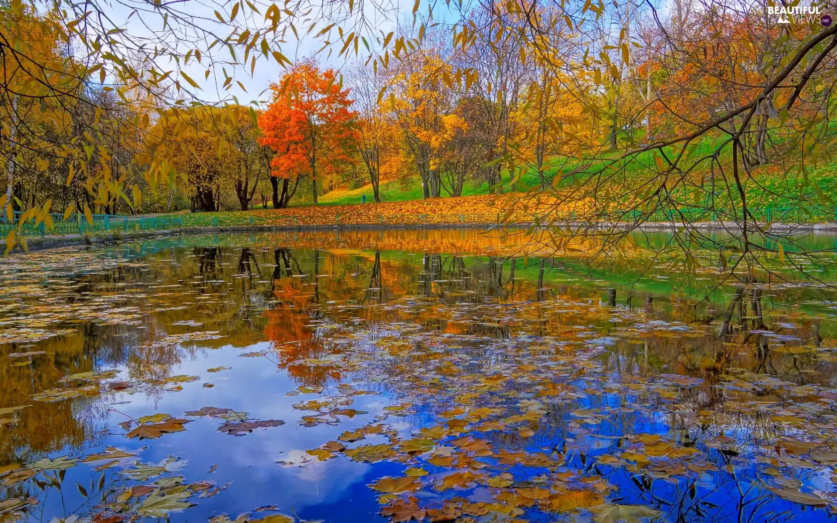 viewes, Park, Leaf, autumn, Pond - car, trees